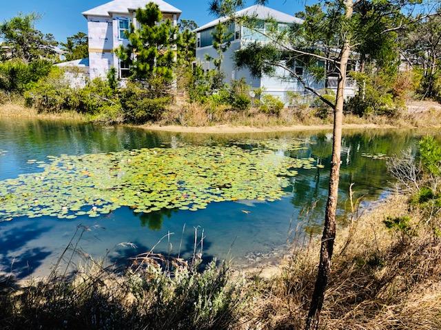 This lovely ''pondfront'' lot could be the perfect setting for a new home with front-porch charm and back porch tranquility--one of the last available building sites in Highland Parks in Blue Mountain Beach. Just minutes away from the beach, the Creamery, Blue Mabel and the best bike path in the Panhandle, the bonus is the world-class pool and covered pavilion right in the neighborhood. Call today before it's gone.