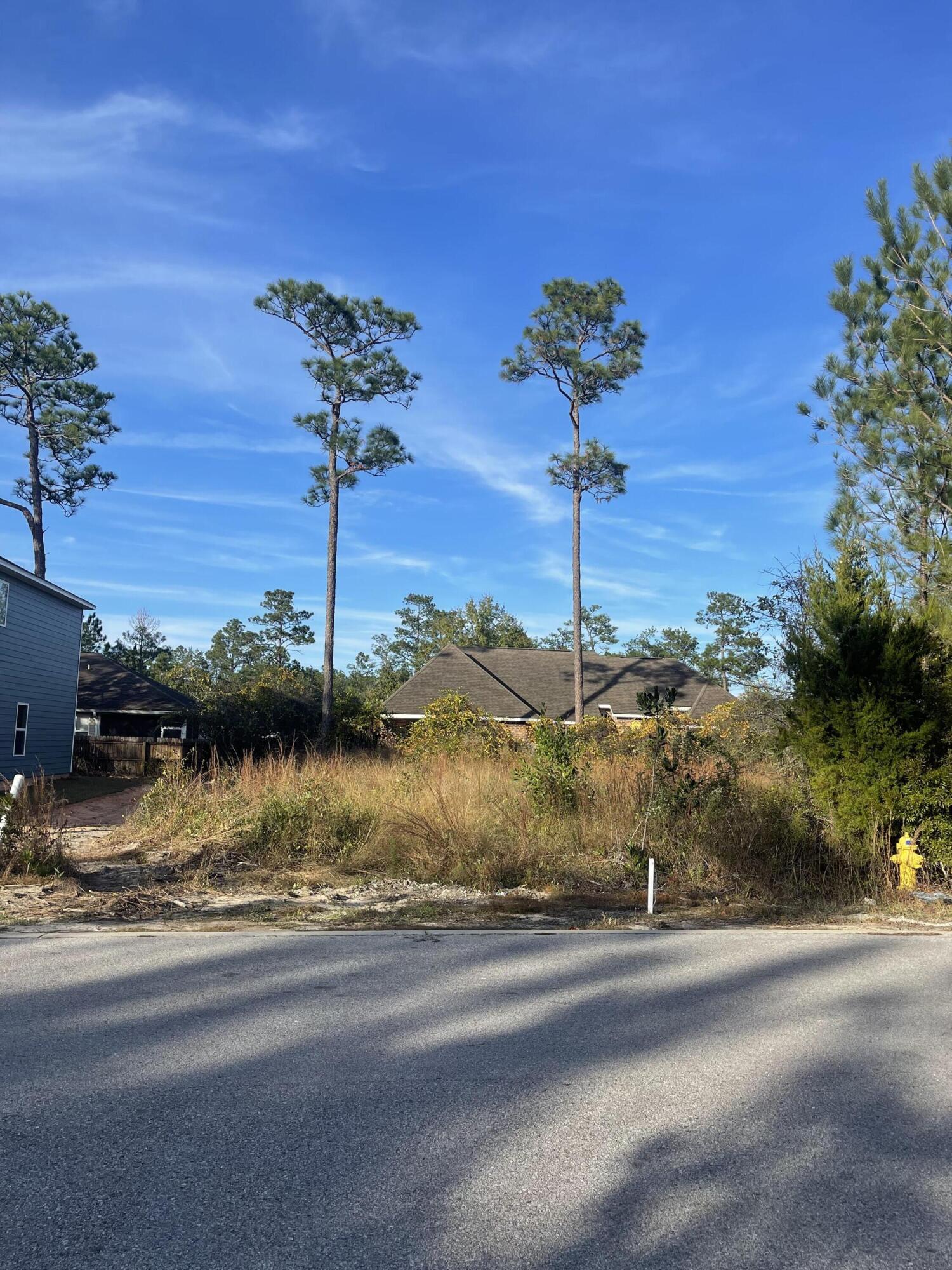 PALMETTO PLACE PH 2 - Land