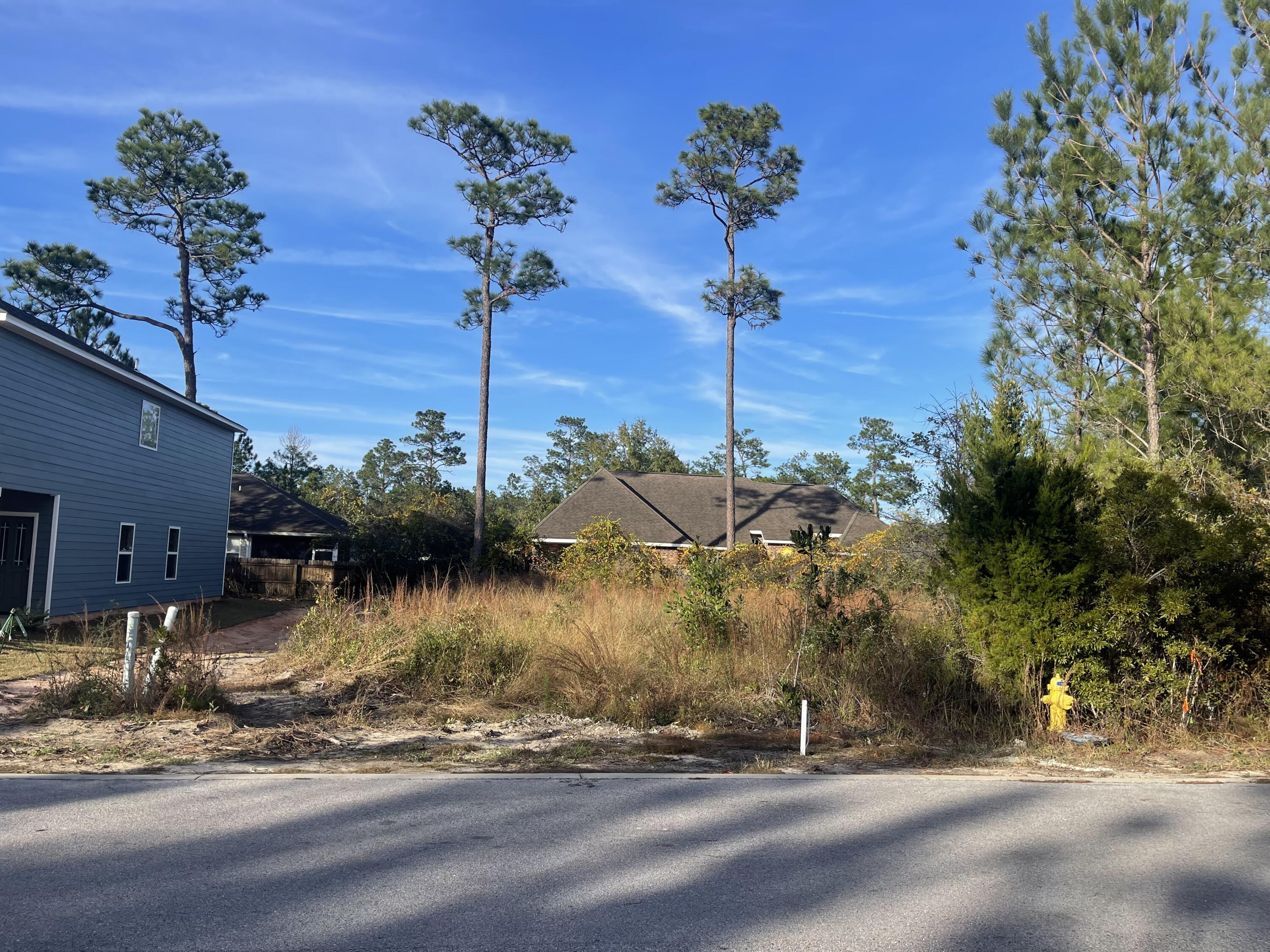 PALMETTO PLACE PH 2 - Land