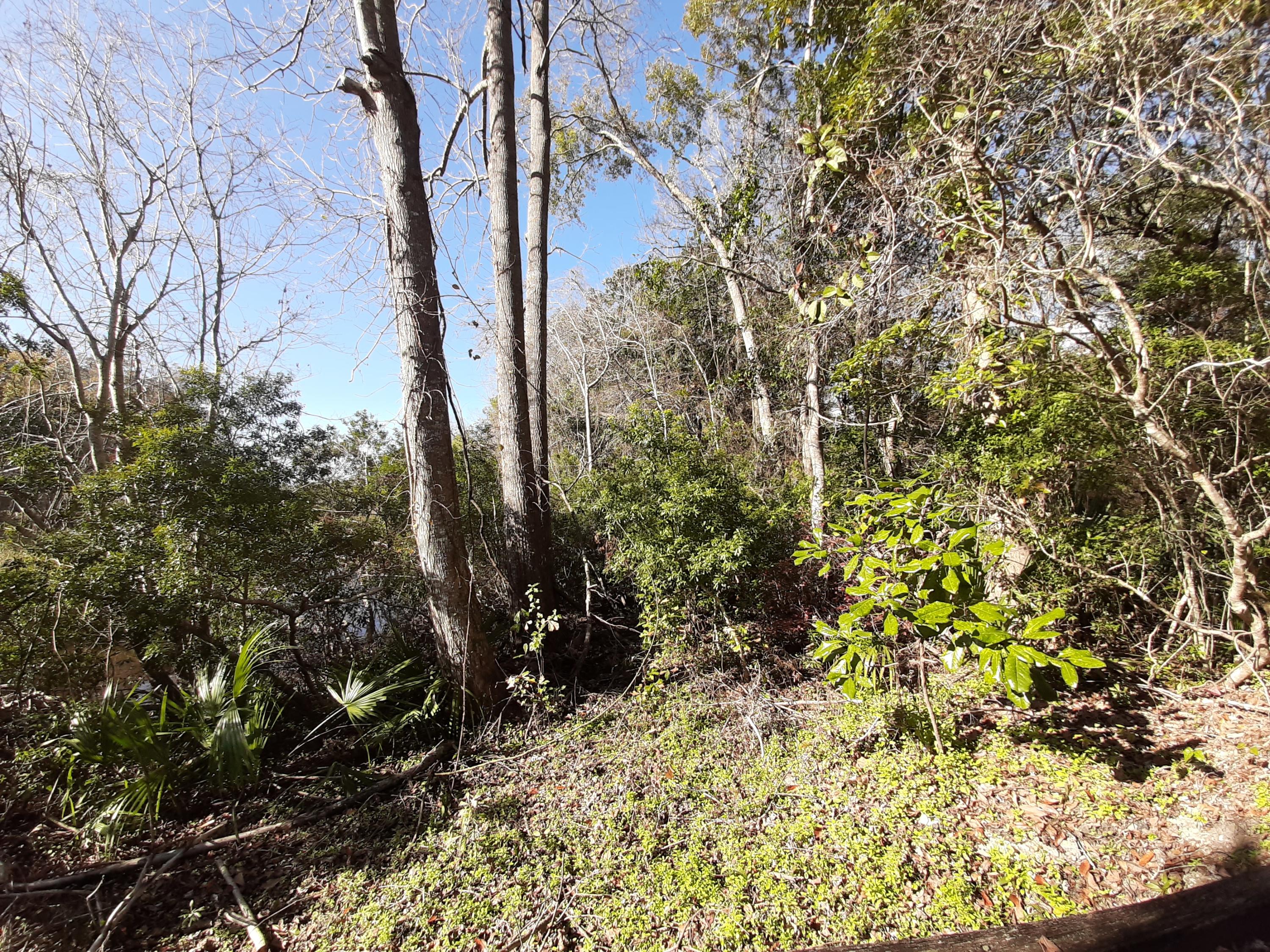 WATERVIEW COVE - Land