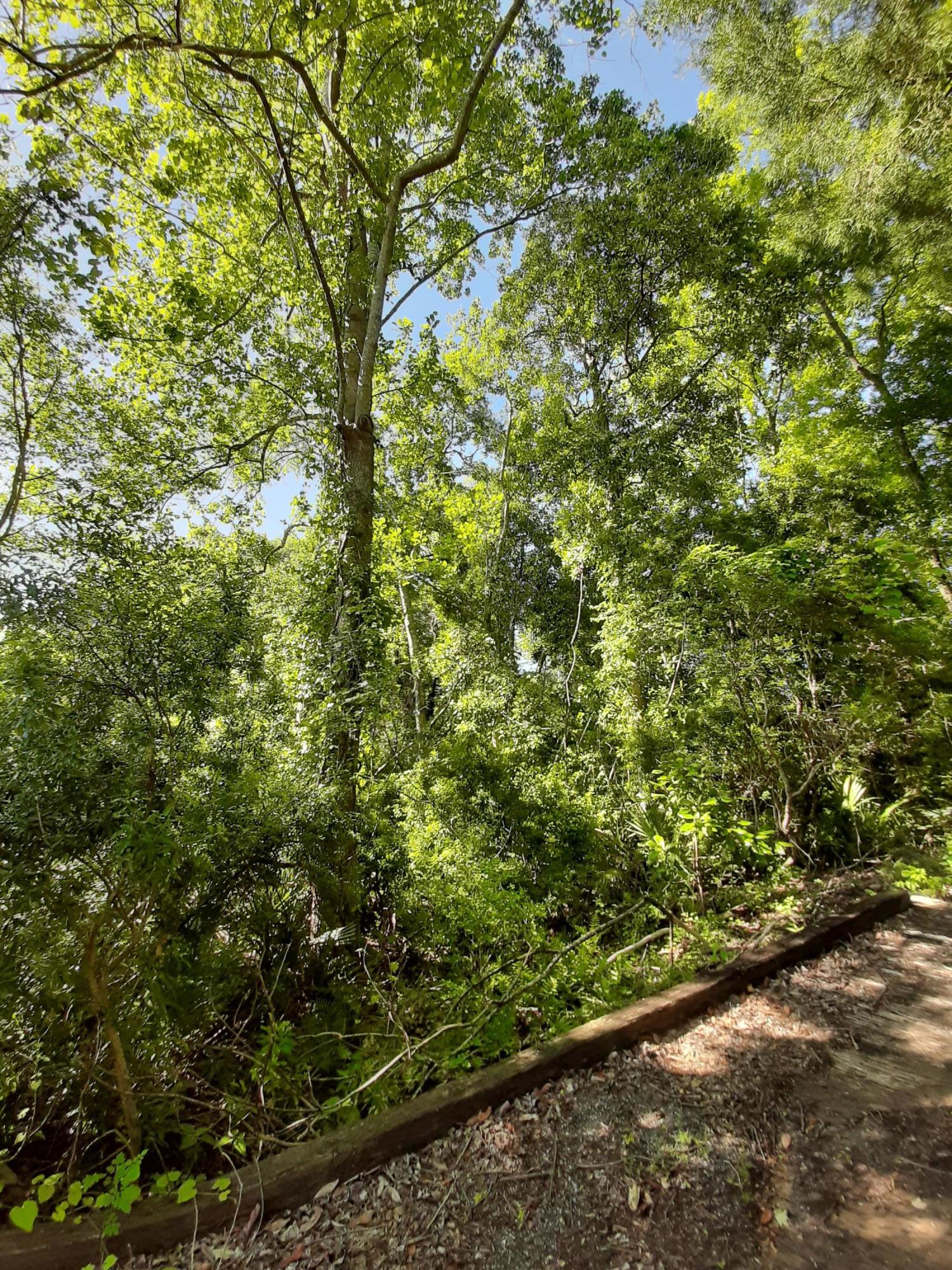 WATERVIEW COVE - Land