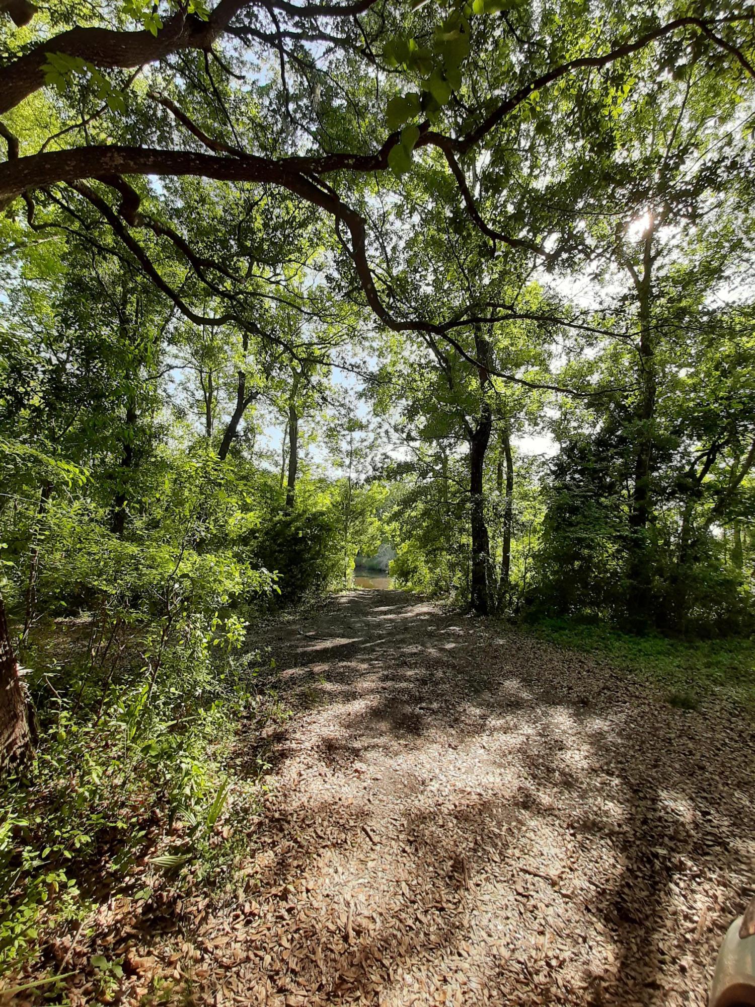 WATERVIEW COVE - Land