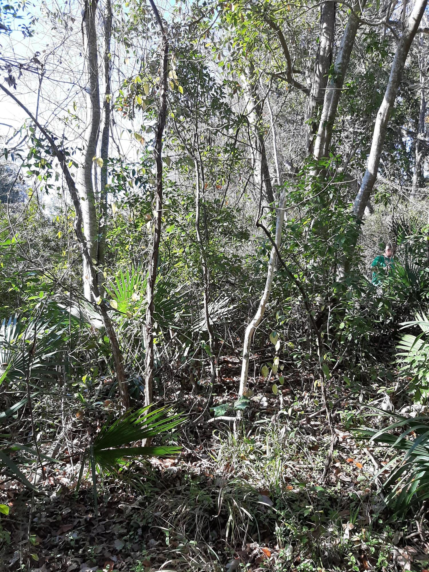 WATERVIEW COVE - Land