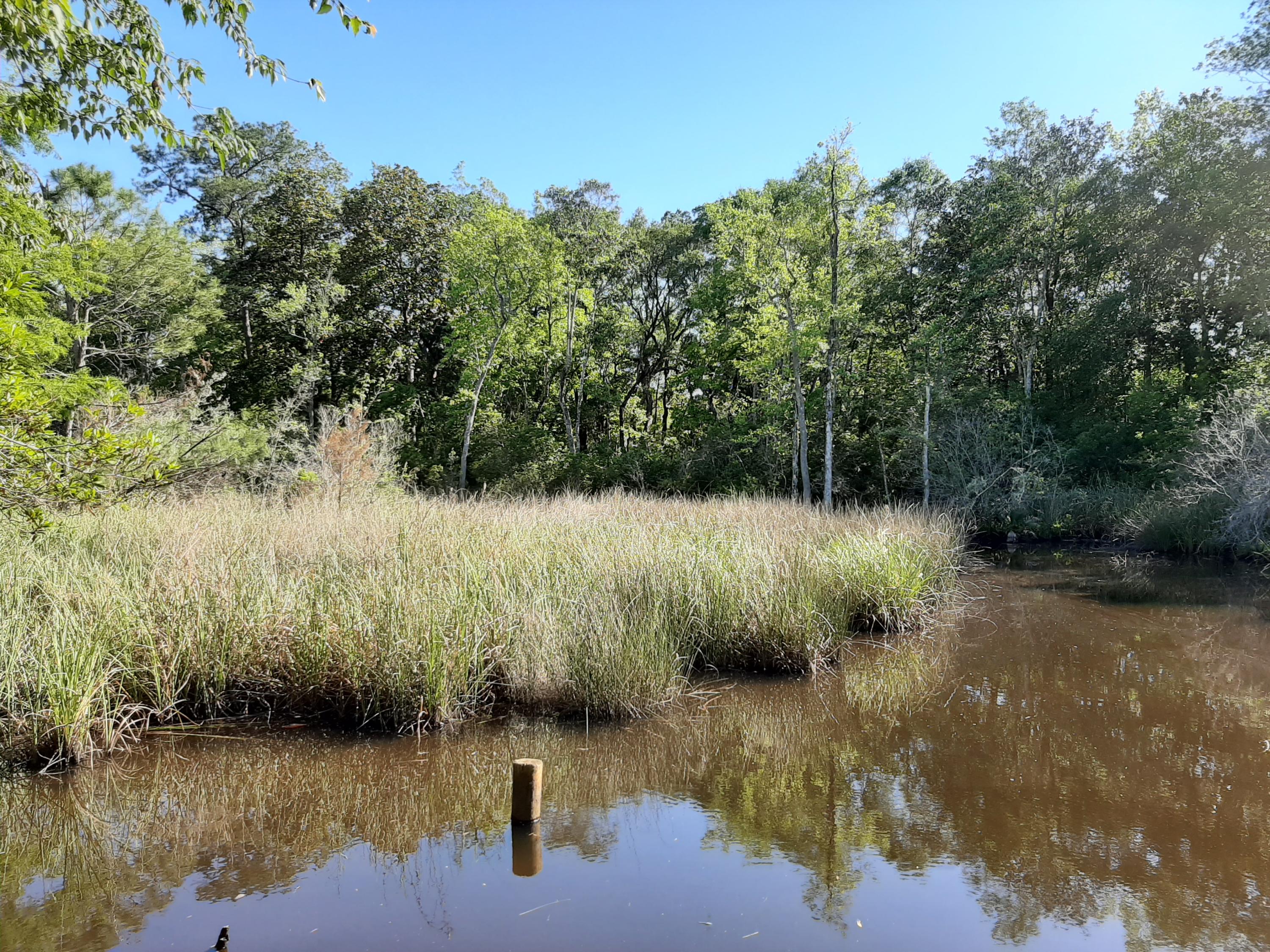 WATERVIEW COVE - Land