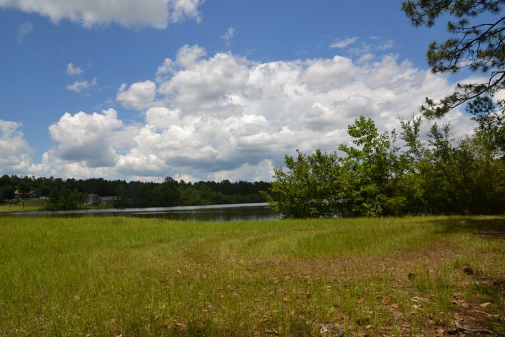 OLD BETHEL ESTATES PH II - Residential Lease