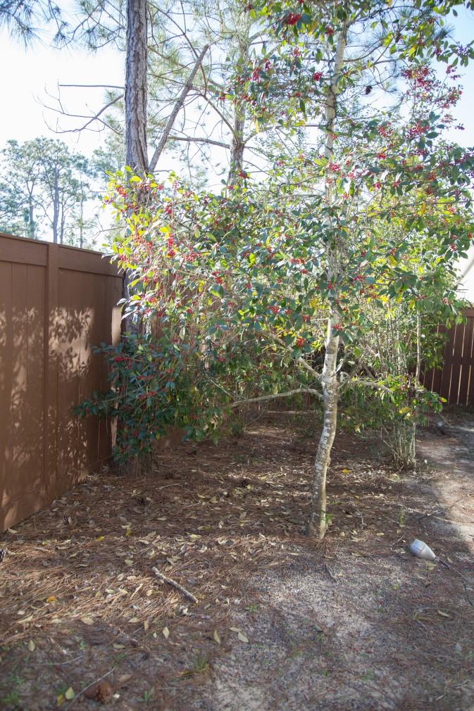 MACK BAYOU ESTATES - Residential Lease