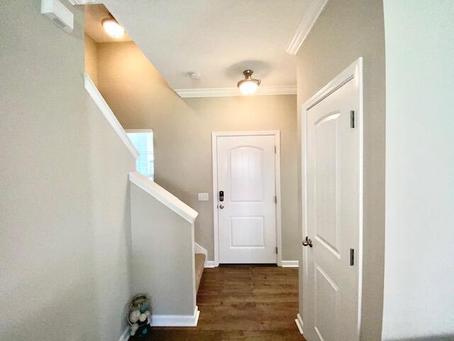 **AVAILABLE MOVE-IN JULY 15**
Welcome to this GORGEOUS, NEWER HOME in the heart of Niceville! Quartz countertops, laminate flooring downstairs with carpet in the bedrooms, stainless appliances,  and an OPEN floor plan! The back yard is fully fenced and has a covered, screened in patio!! Dogs under 50 lbs welcome - breed restrictions apply. Sorry NO cats. Please call Sound Choice Real Estate to schedule a showing - 850.389.8533.