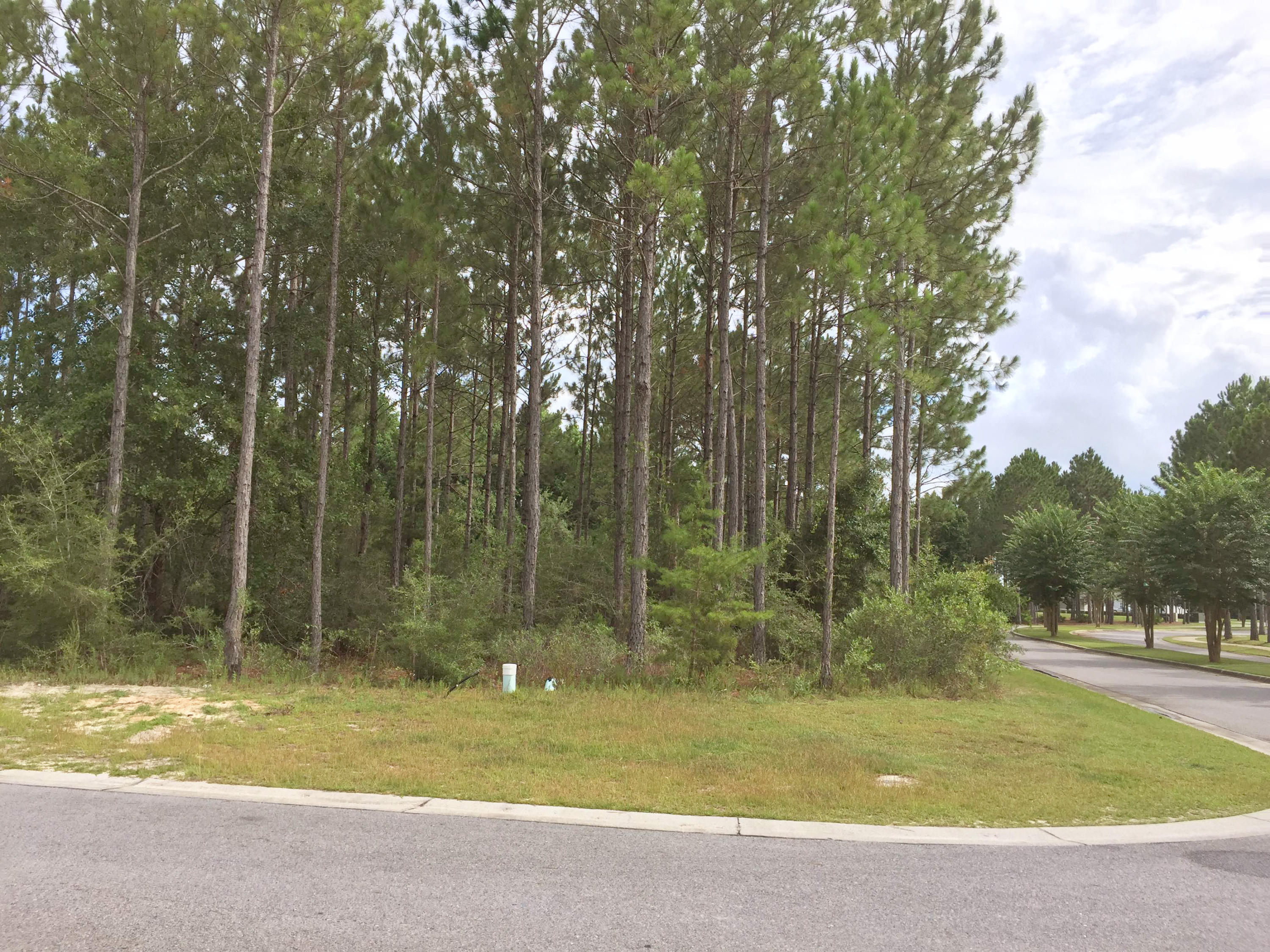 HAMMOCK BAY - Land