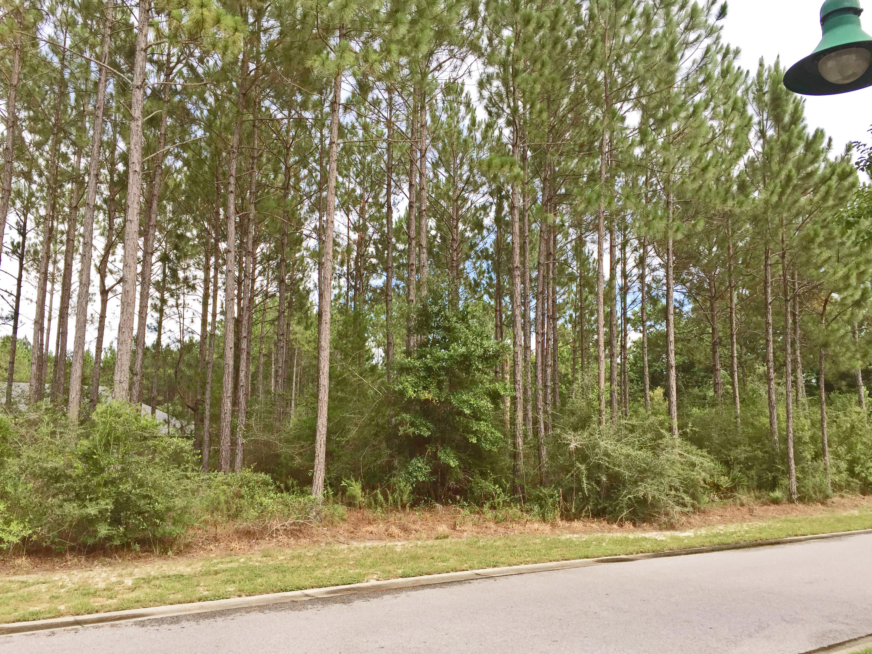 HAMMOCK BAY - Land
