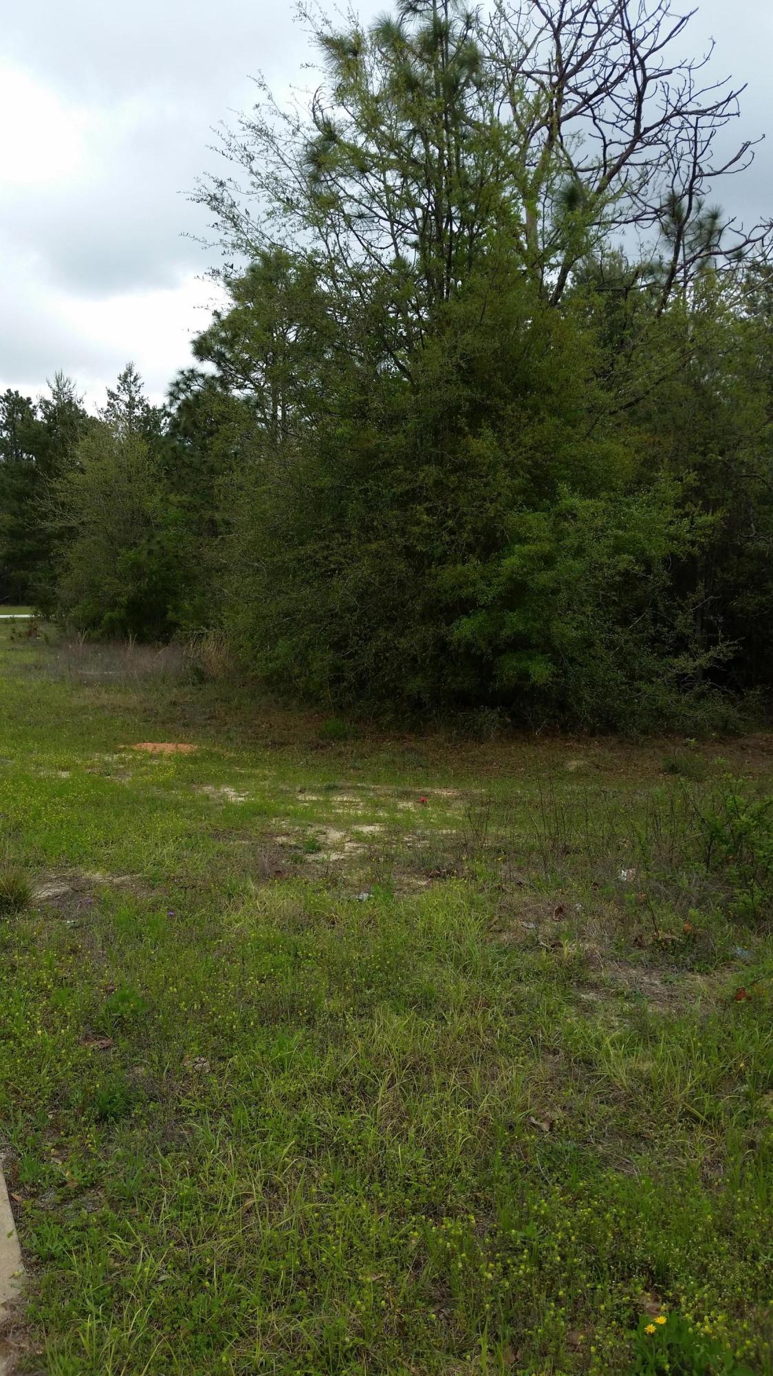 Half acre wooded lot in a subdivision of newly built all brick houses. Mostly done by Henry Homes. Great place to raise your family or just retire and enjoy the countryside. Short drive to shopping, eating establishments and the amenities N. Crestview has to offer. This is LOT ''D'', and lot ''C'' is adjoining and also for sale. Gas line is in the street.
