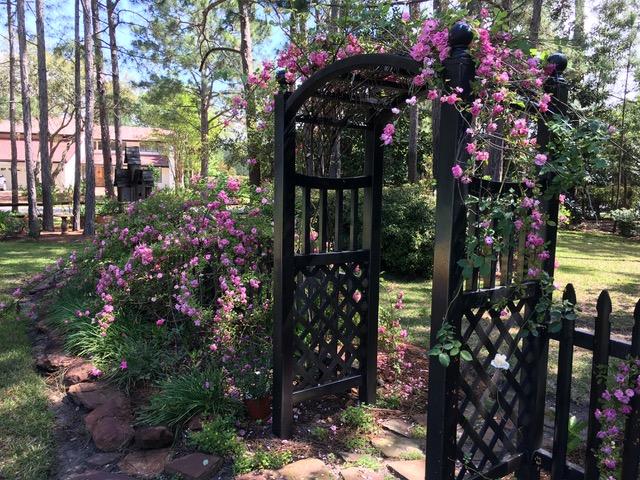 RAINTREE ESTATES - Residential