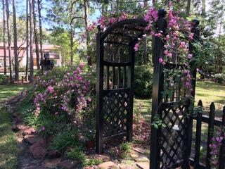 RAINTREE ESTATES - Residential