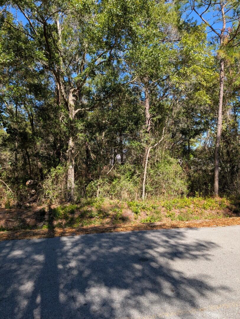CHOCTAWHATCHEE BEACH - Land