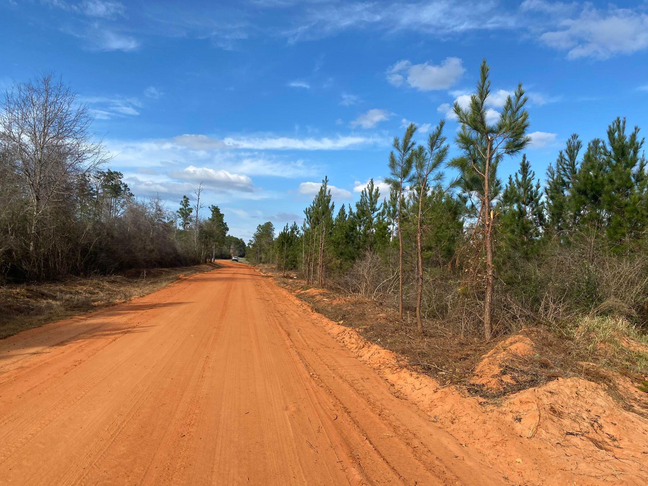 Bring your Build plans today!
13+/- Acres of Beautiful timberland. Local Schools: Central for Elementary, Central High School for both Middle and High schoolers.