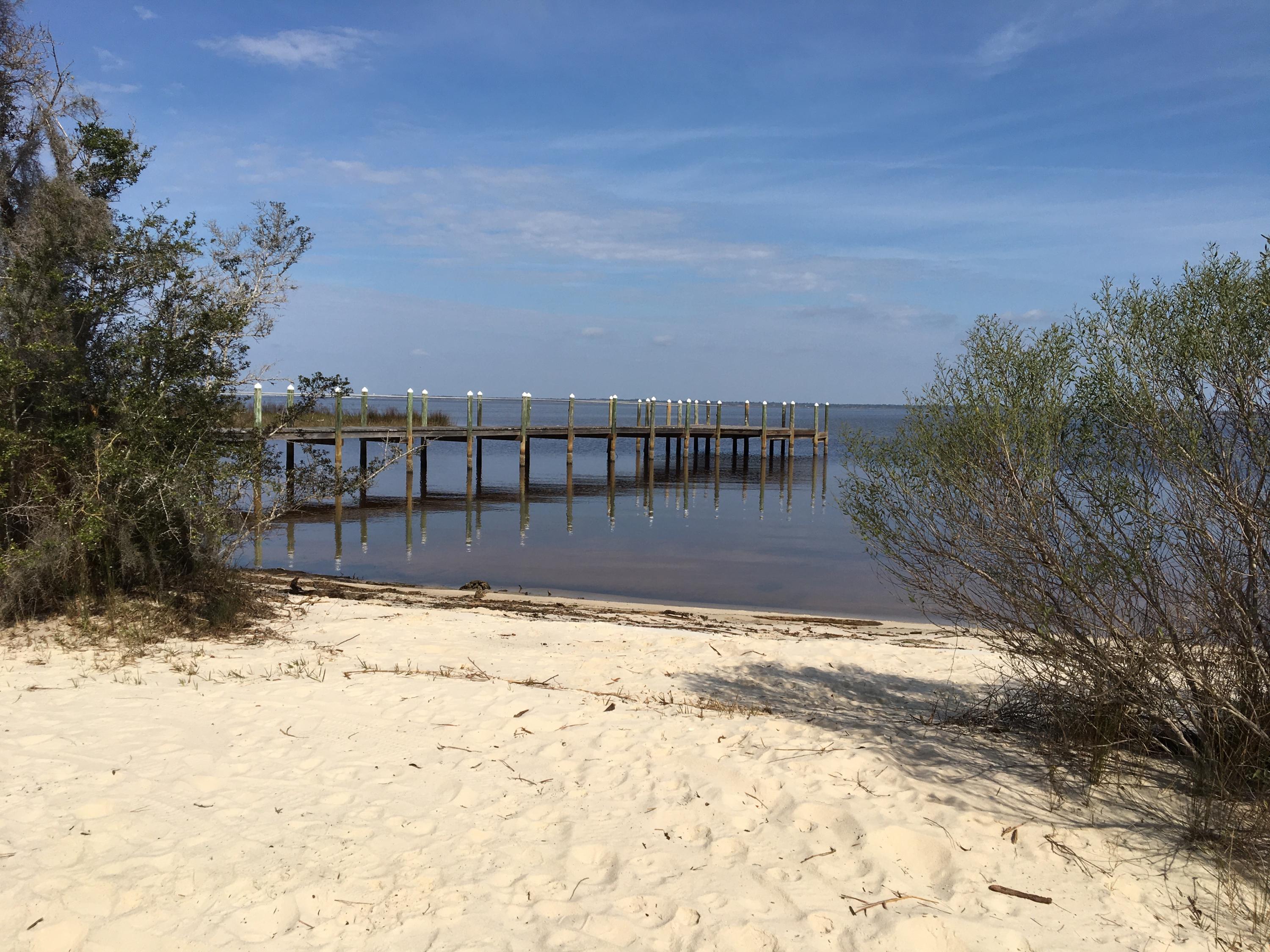 BAY MAGNOLIA - Land