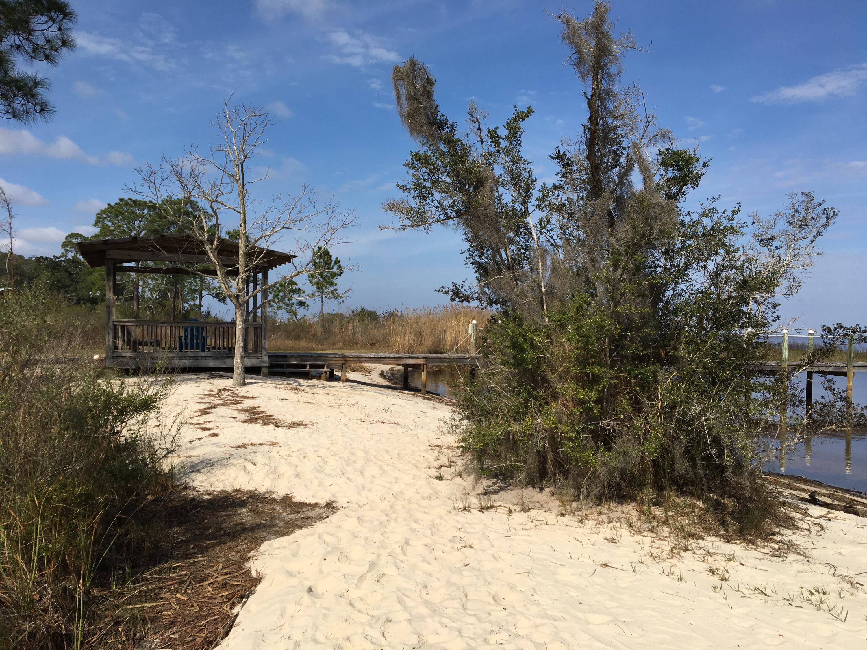 BAY MAGNOLIA - Land