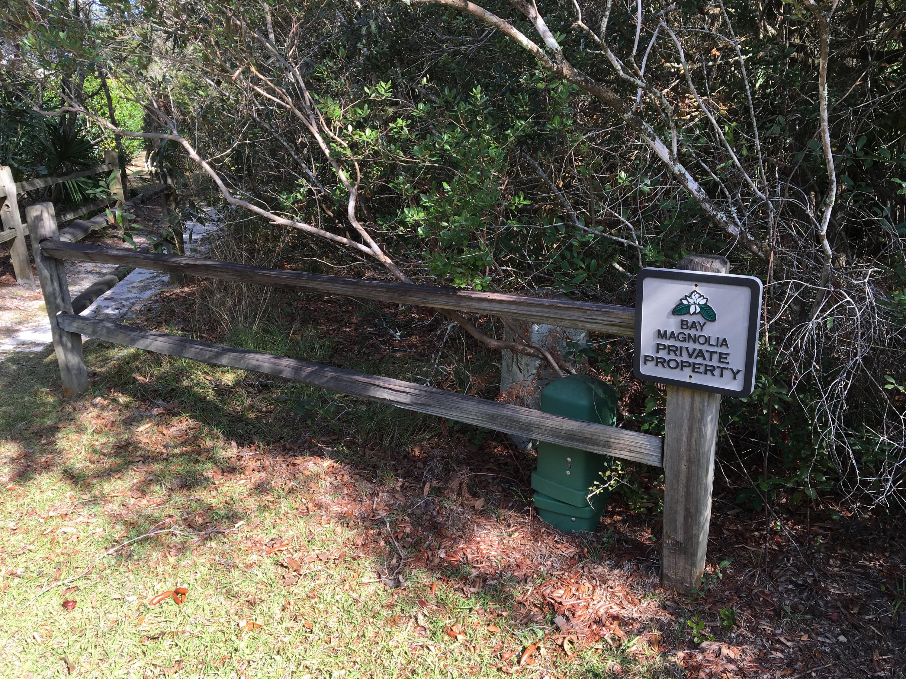 BAY MAGNOLIA - Land
