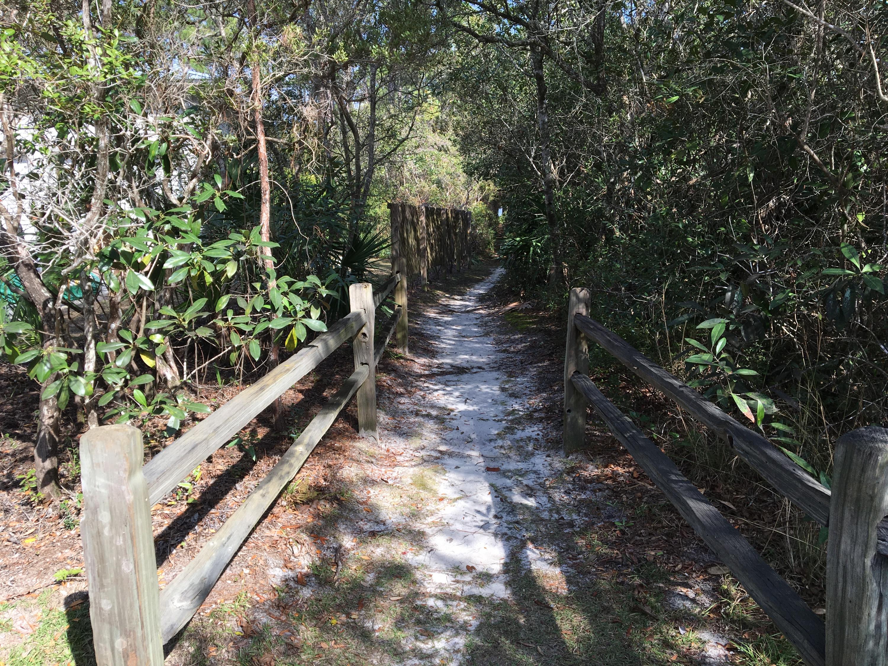 BAY MAGNOLIA - Land