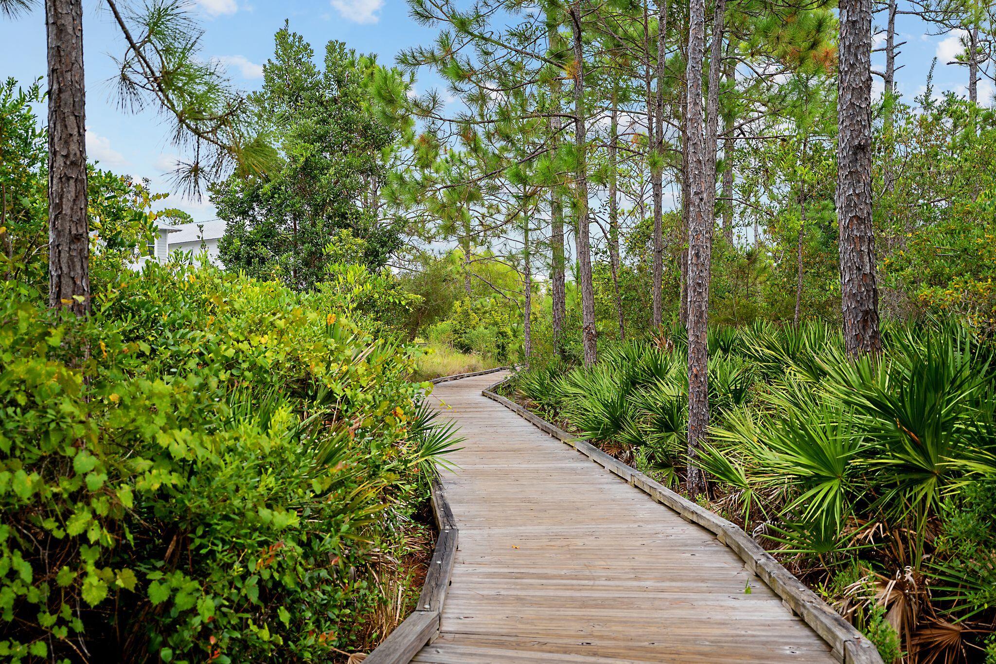 NATUREWALK AT SEAGROVE - Residential