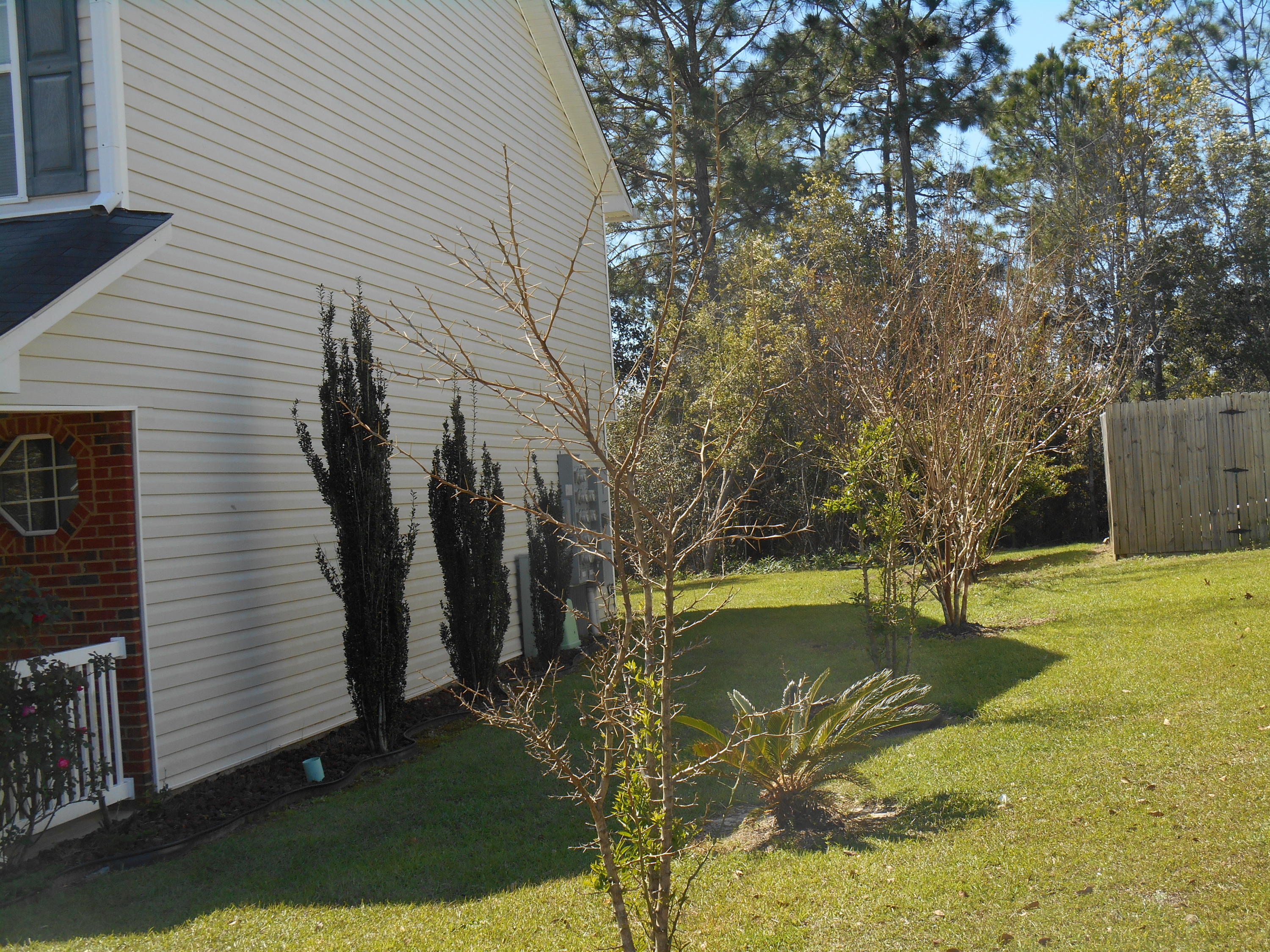ROLLING PINES - Residential Lease