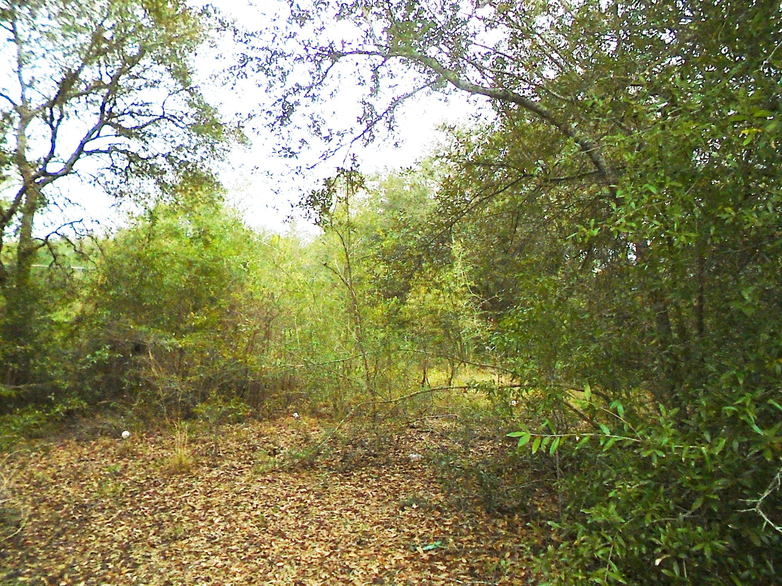 Located just North of DeFuniak Springs. Lot has road frontage on Caswell Rd and on Terrance Ct. and previously had a manufactured home there. DeFuniak Springs water is available and tap fee is paid. Water meter is located on the back of the lot facing Terrance Ct. - both paved roads. There is also a septic tank (no information on size) and a power pole. Meter was removed by Chelco. All utilities being sold as-is. Center of lot had been cleared but trees remain surrounding the lot for privacy. Original deed restrictions are in file and allow for residential use only. Hard to find a lot ready for your new home.