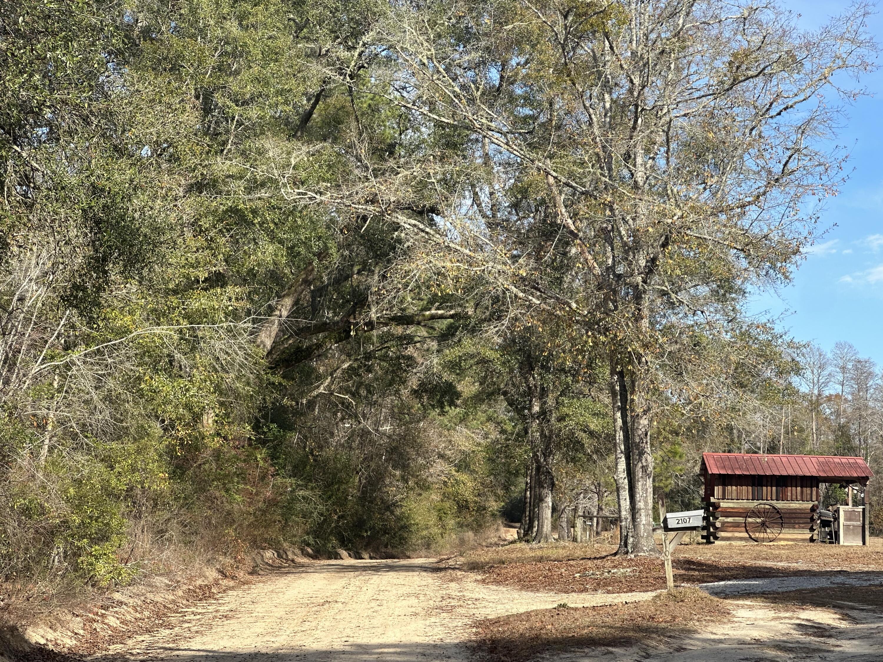 ***POSSIBLE HUNTING LEASE - DO NOT ENTER THE PROPERTY PRIOR TO SCHEDULING A SHOWING APPOINTMENT 24 Hours or more in advance***Great Location for Hunters Paradise, you won't want to miss this opportunity! This Beautiful 37 +/- Acres of prime land. Prime location, 15 minutes away from Bonifay. I-10. This tract of timber has recently been harvested, and the tract has been cut. Bring your hunting gear, Horses, and ATVS. LOCATION LOCATION!!!! This Property has Easy Access to Panama City Beaches, I-10,  Hwy 79 and Hwy 90.