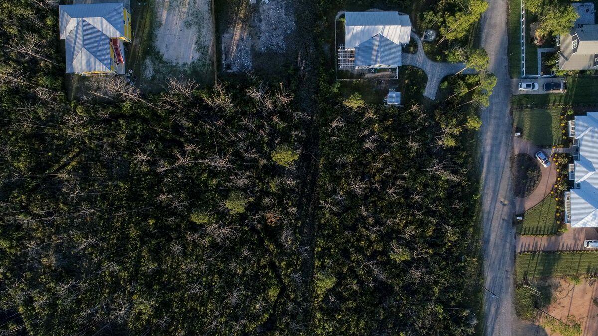 THOMPSON PLANTATION - Land