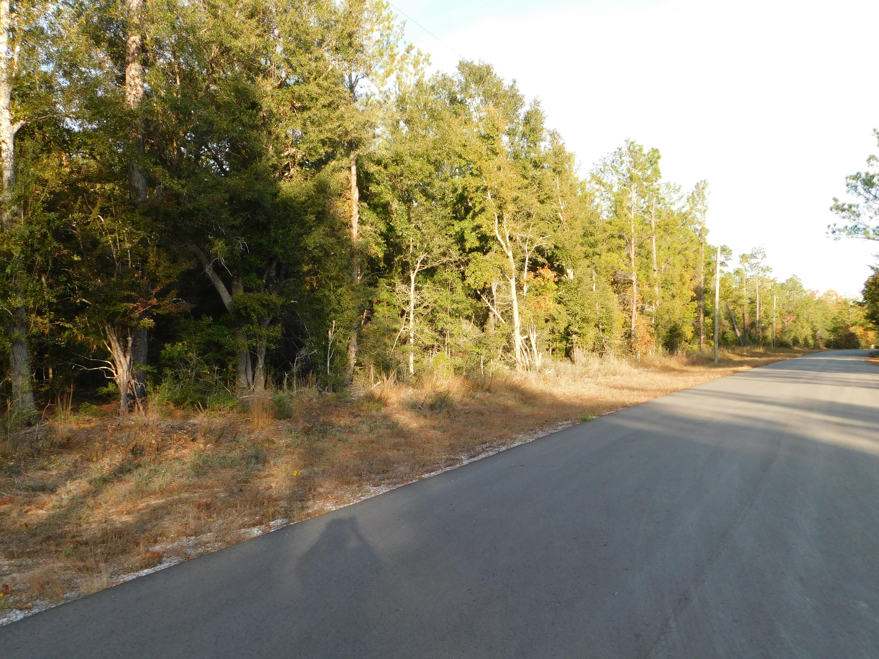 Bring your house plans!! 7.3 AC level ground to build you dream house!! Lovely neighborhood and additional land available!!