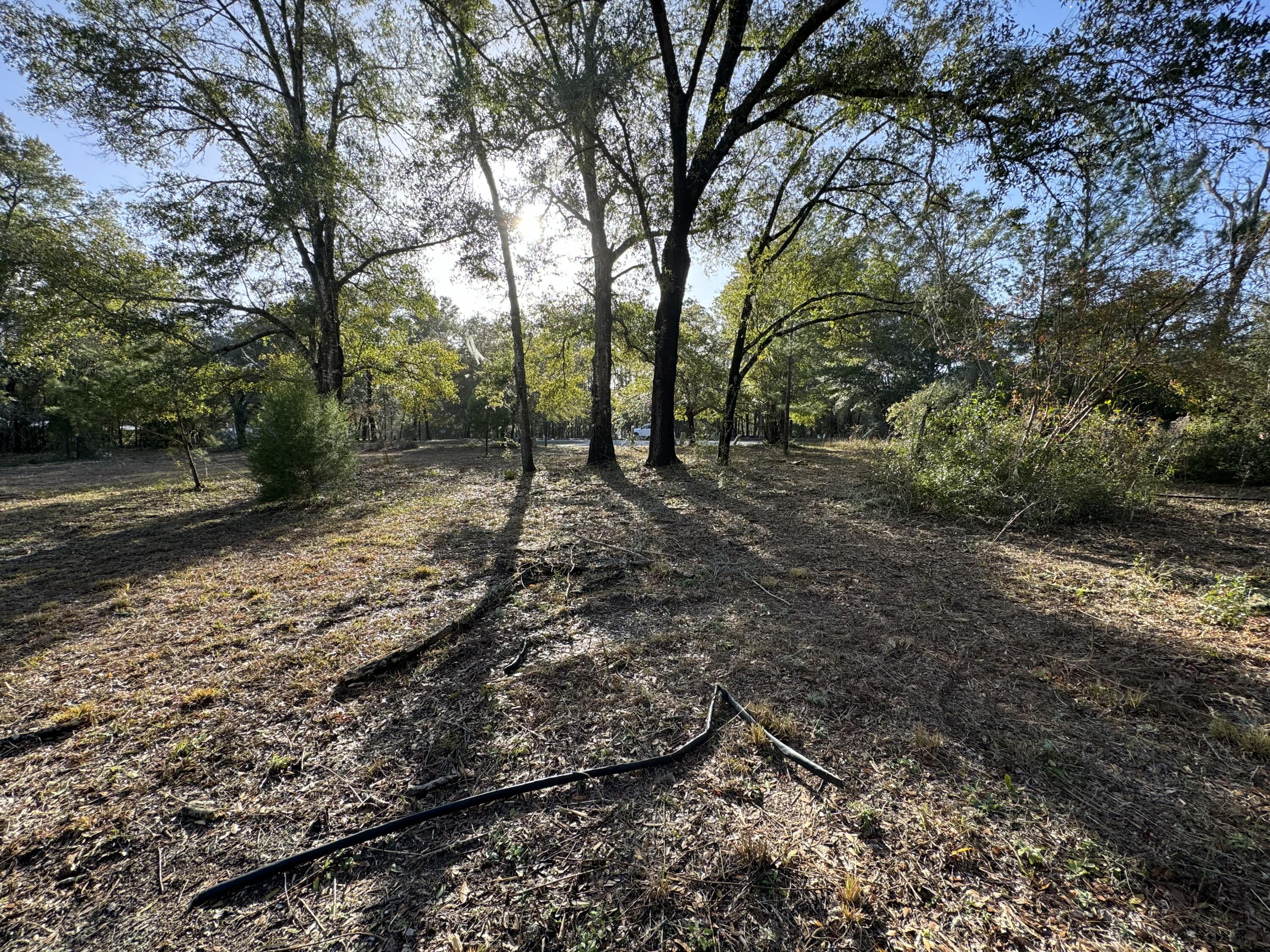 Grande Oaks - Land