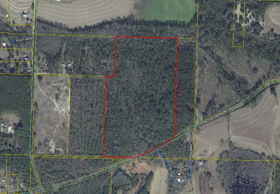 This beautiful track of land has a mixture of  hardwood and pine timber on the property. Fronts on a paved road. A great track of land to build a dream home on located in the north end of Walton County between Darlington and Gaskin communities appx. 18- 20 miles north of DeFuniak Springs. Possible small spring feeds seasonal creek. Was once lived on and still has a portable garage, mobile home, septic  tank, power pole and well.  No value was given since no one has lived there for many years and no guarantees implied that the utilities work. Seller does have an older survey on the property please look under documents in the header on the MLS Sheet above for a copy.   All dimensions subject to and up-to-date survey.