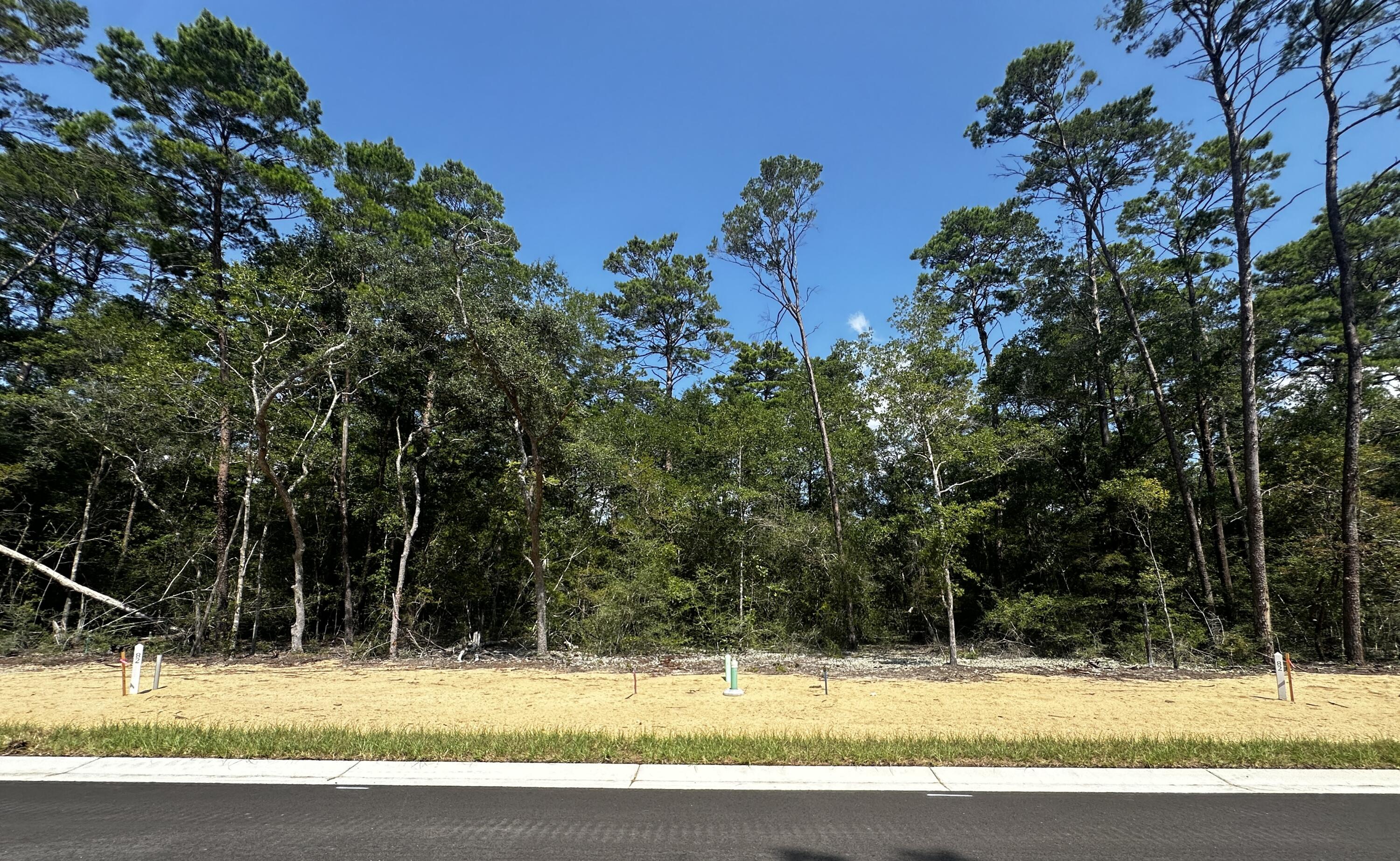 Deer Moss Creek - Land
