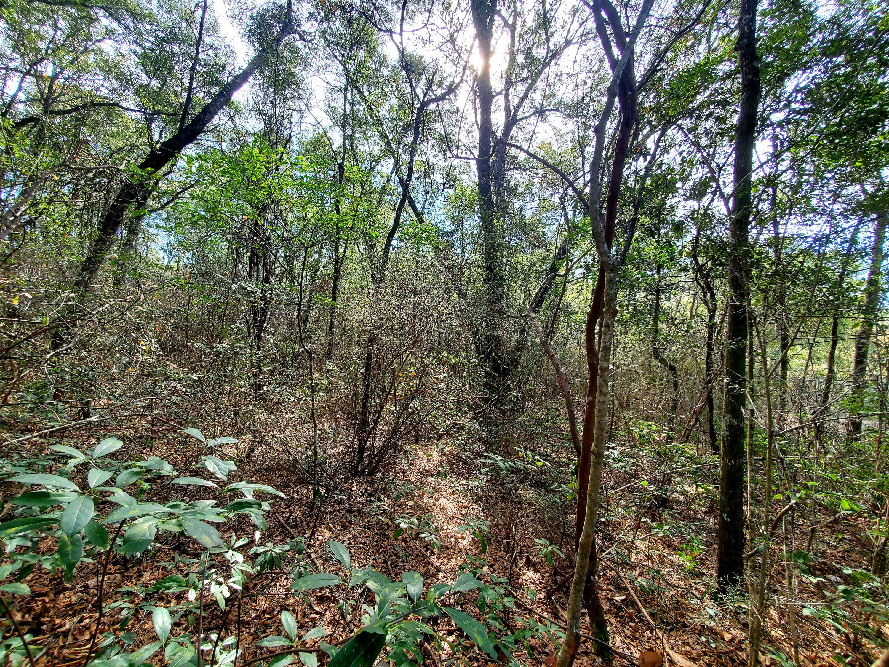 Indian trails - Land