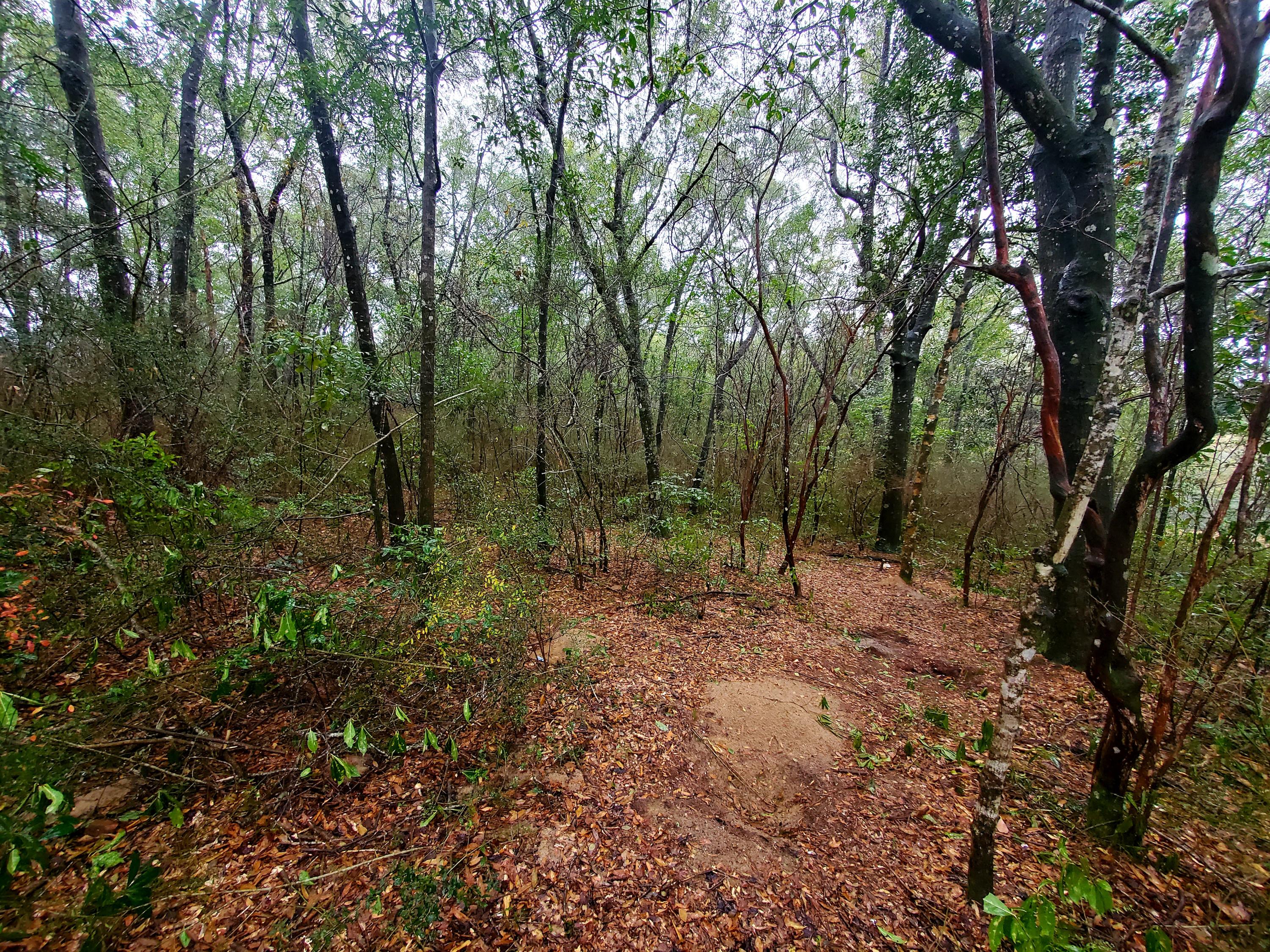 Grab your home plans and look no further. If you are looking to build and want a quite homesite in a well established community this lot is a must see.This beautiful .68 acre parcel has mature hardwoods that would make for perfect curb appeal around your new home. To top things off you are right beside a quite undeveloped cul-de-sac which will be great for when the kids want to go out and play. The neighborhood also offers access to a 3 community pond that would be great for a family picnic or a relaxing afternoon of fishing.