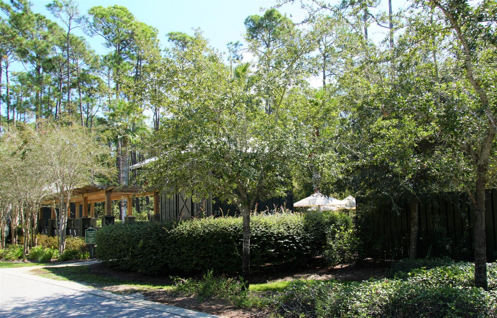 TREETOP - Land