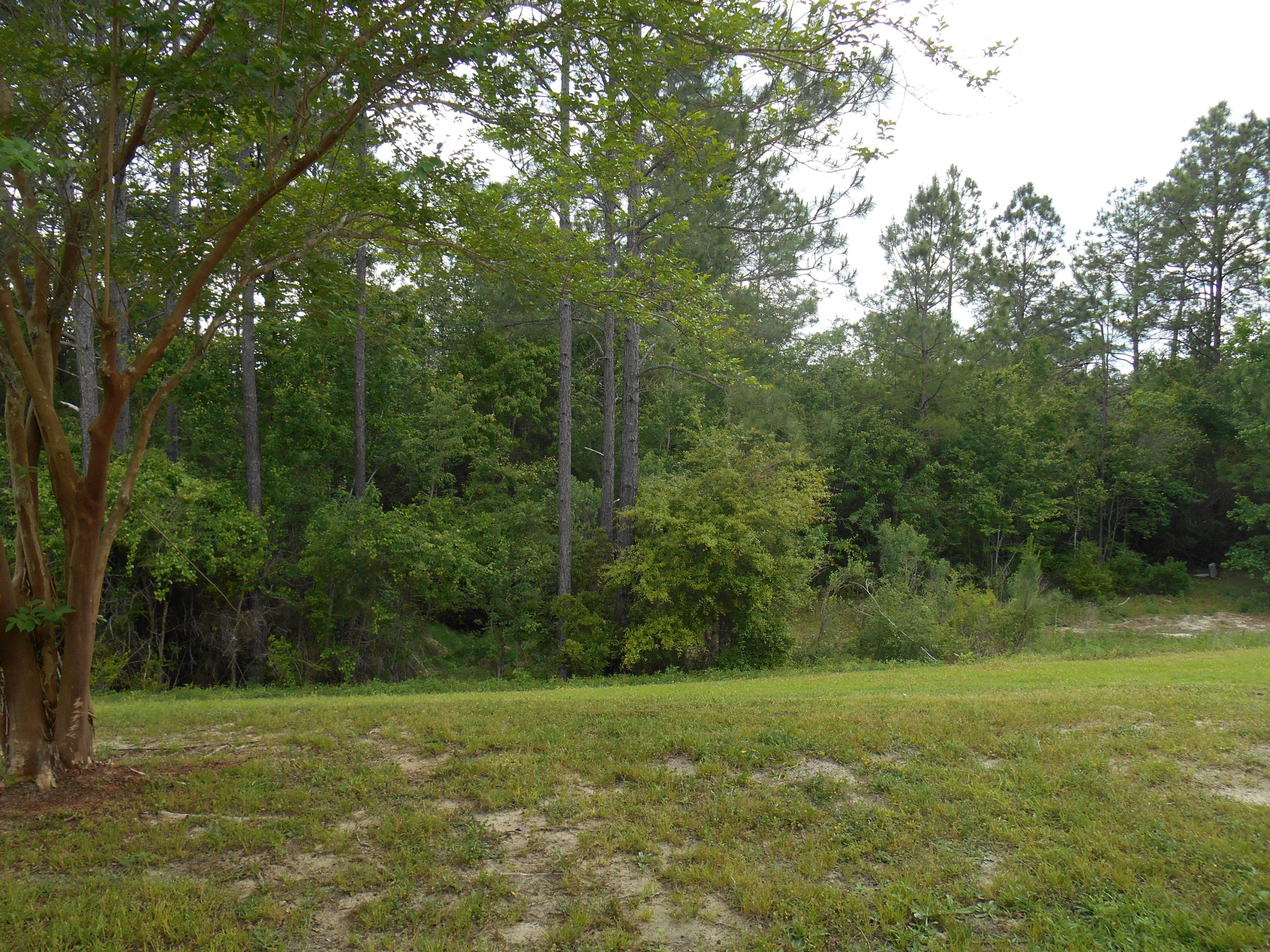 EAGLES LANDING S/D - Residential Lease