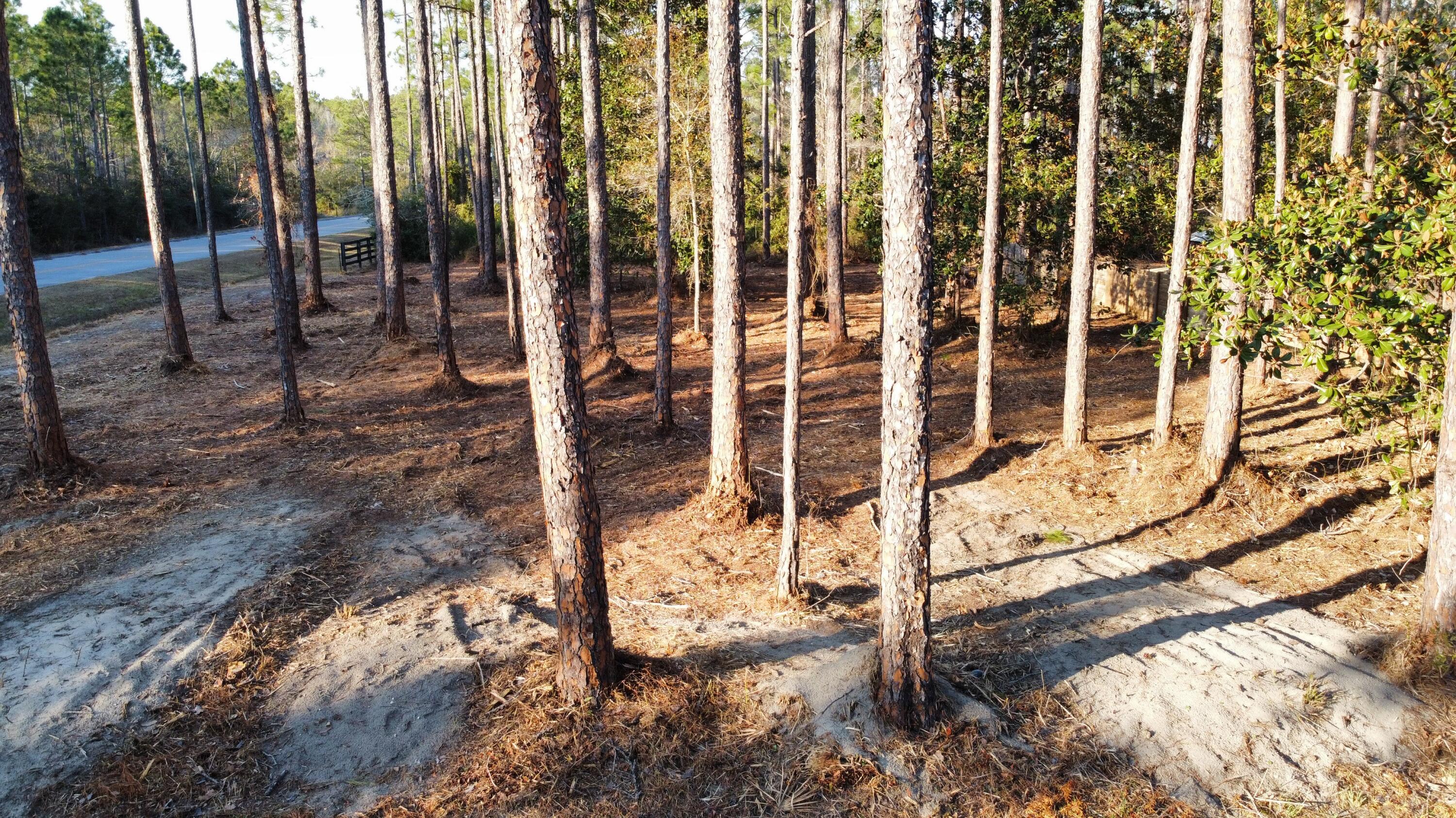 SANTA ROSA PLANTATION - Land