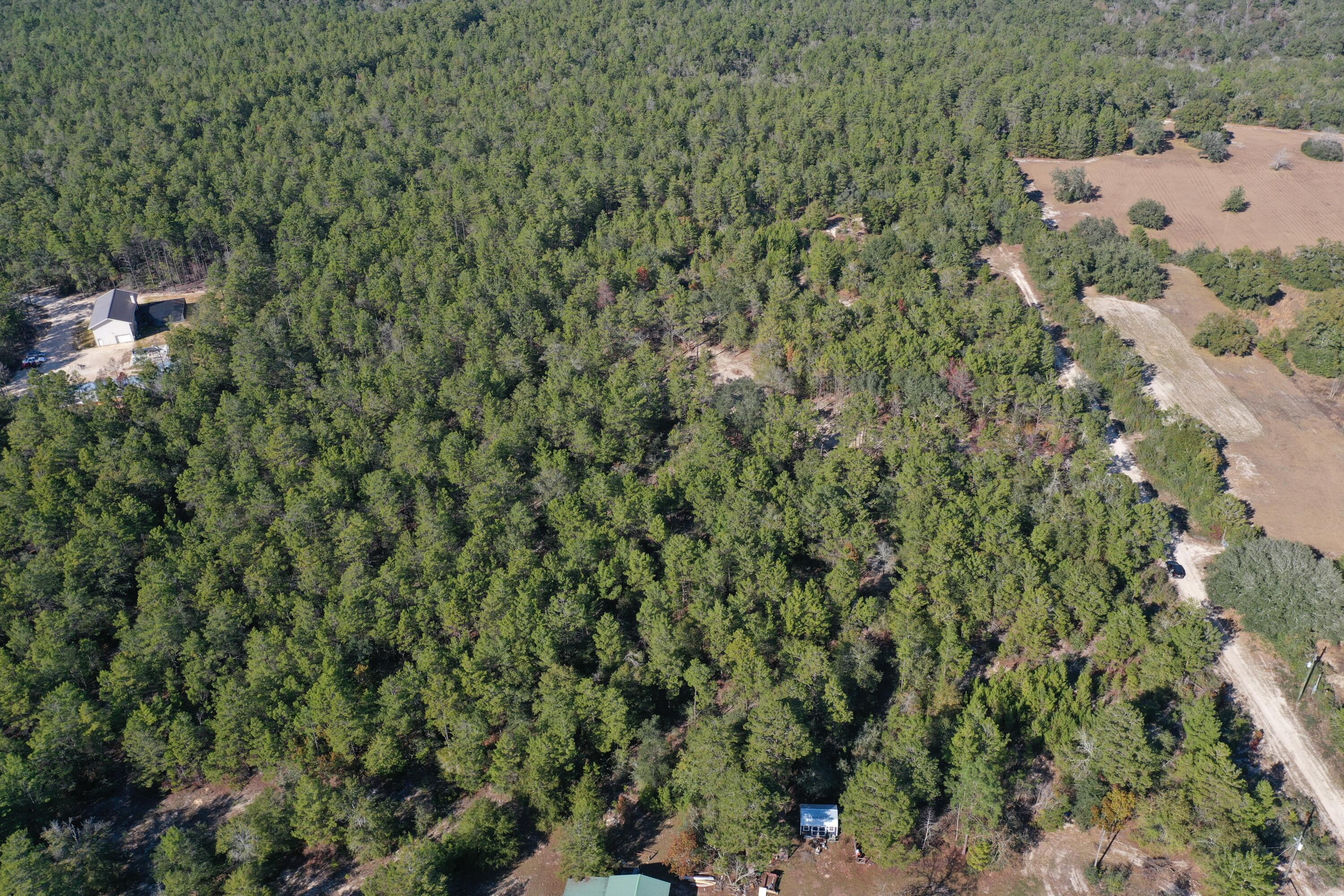 Escape to the tranquility of this stunning 4-acre wooded lot, perfectly suited for building your dream home or creating your private retreat. Tucked away on a peaceful dirt road, this level property boasts mature trees that offer natural beauty, privacy, and serenity. Whether you're envisioning a cozy cabin, a sprawling forever home, or even equestrian facilities, this versatile land provides endless opportunities. Horses are welcome, making it an ideal spot for equestrian enthusiasts. If you're looking for more land the seller has an additional 4 acres, the seller is offering the option to purchase both parcels, the property is already separated into 4-acre parcels. Don't miss the chance to own a slice of peaceful paradise—schedule your showing today.
