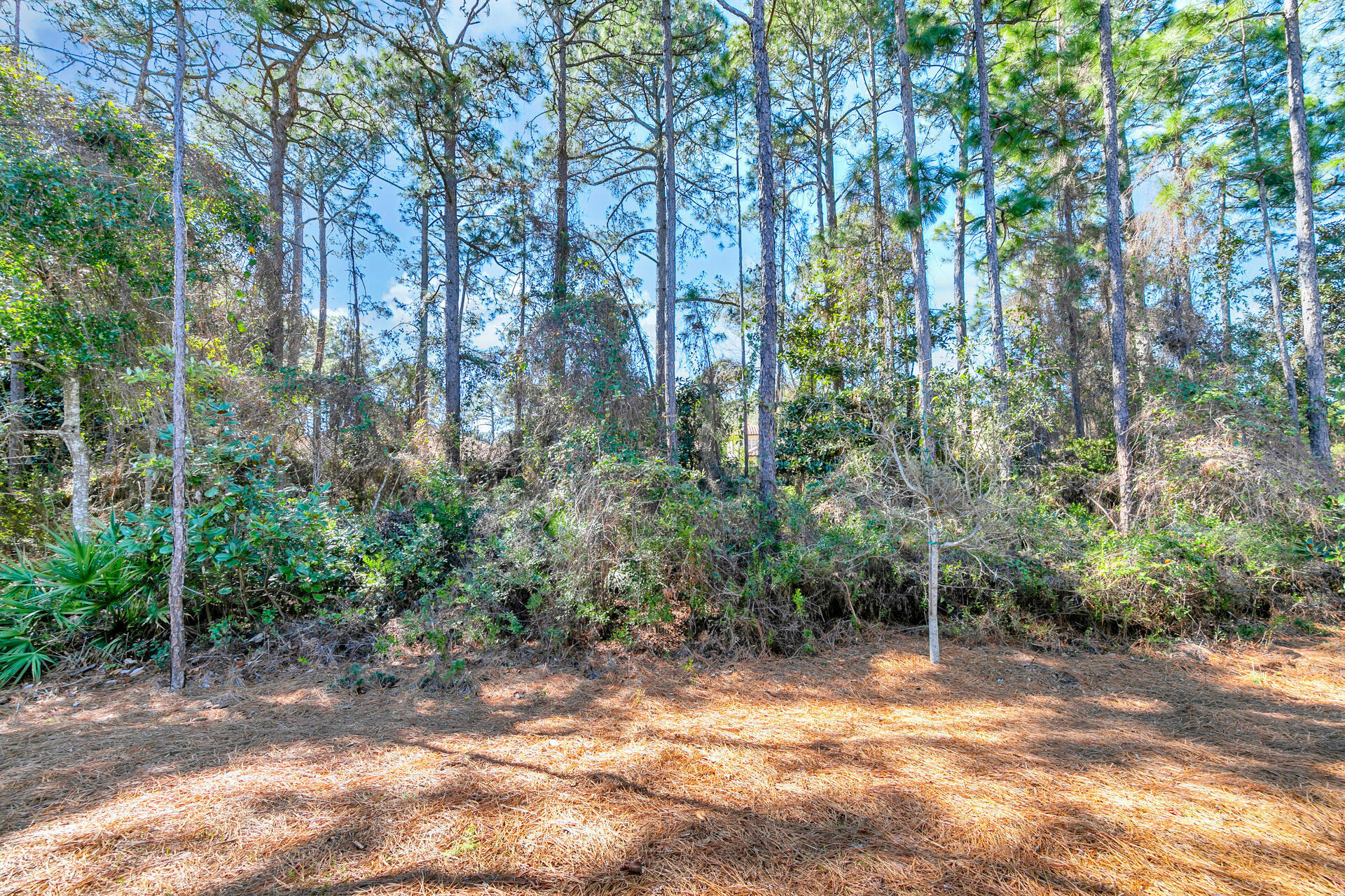 Sandhill Pines - Residential