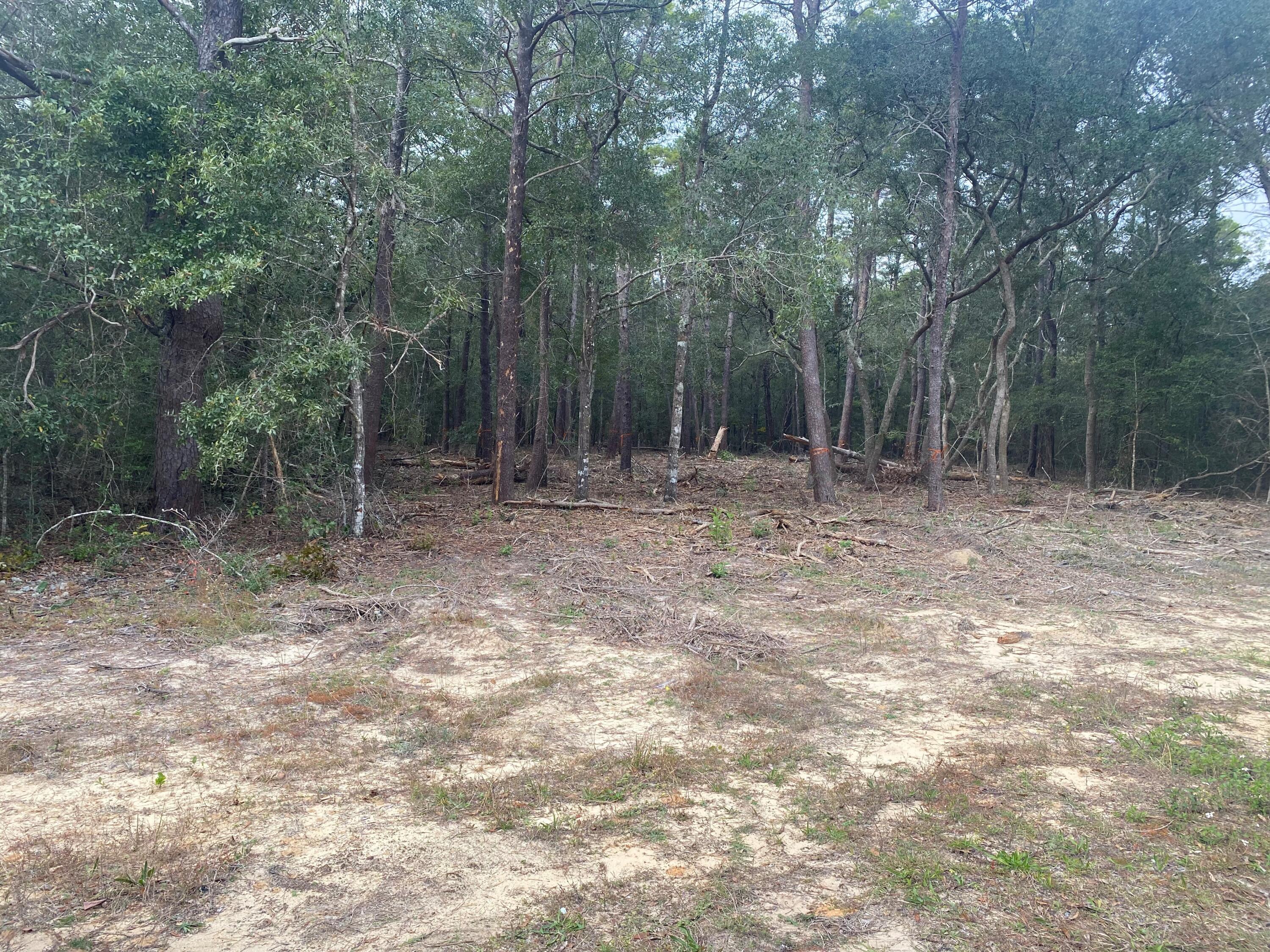 Looking for acreage? Want to build your dream home set among the woods? Come take a look at this 5.22 acres of land.  Close enough to get to the beautiful emerald waters but a place to enjoy nature and wild life in your backyard. There is a small portion of the lot that has had some clearing.  The owner is a licensed Florida builder and will build to suit.  Call for more information today.