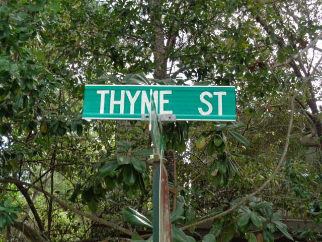 Beautiful lot in ''Old Seagrove'', easy beach access, easy access to Seaside's shopping, restaurants and entertainment. No HOA, no buildout times. ***Buyer is responsible for personally verifying details about this property. Any information contained in this listing is believed to be accurate but is not guaranteed.***