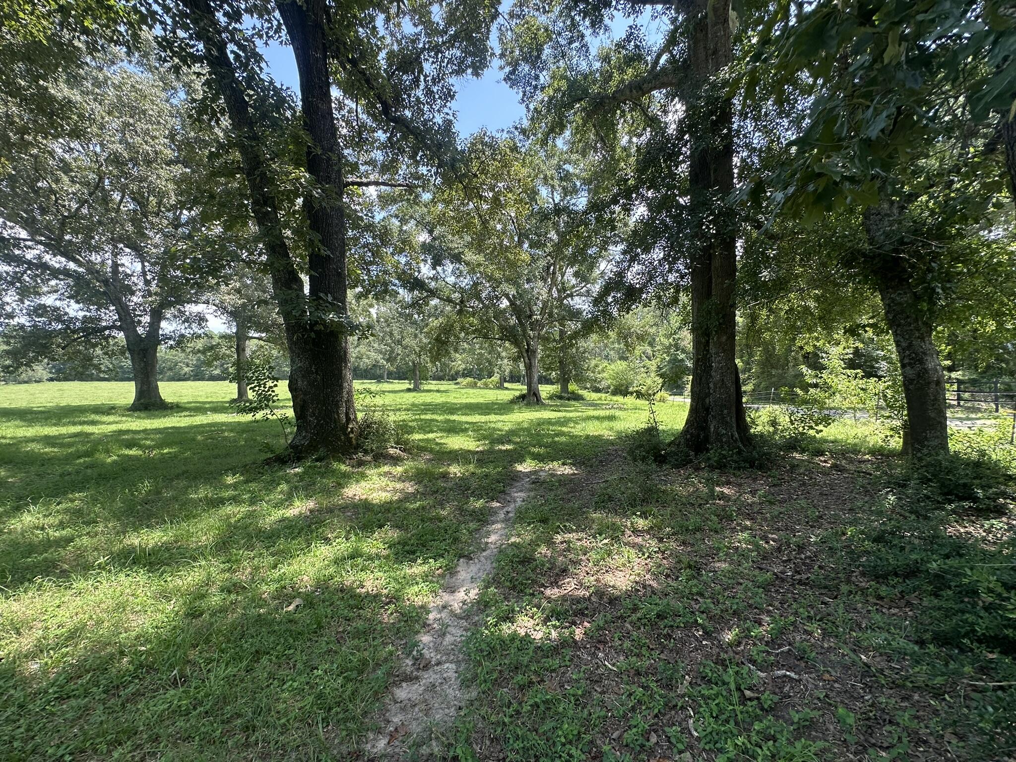 Positioned along Bullard Road, this 8.64 ± acre parcel offers a generous stretch of open and wooded land suitable for a variety of future uses. The size and layout provide flexibility for those seeking space to build, farm, or enjoy outdoor recreation in a peaceful rural setting. With a mix of natural vegetation and level terrain, this tract presents a solid foundation for a private homesite or long-term investment. Seller will consider owner financing with approved terms. Sale to be contingent upon final approval of the property split by Santa Rosa County. Seller has never resided on the property and has no knowledge of any homeowners association, utilities, or easements; buyer to verify all information deemed important during due diligence.