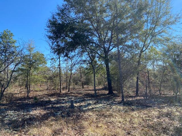 Looking for acreage in North Walton County?  These 4 acres are level and ready for your manufactured or custom home.  Property is located on a county maintained dirt road.  The land is undeveloped but has access to public water and electricity available at road.  Tap fee is not paid and will require septic.  Survey is on file.
