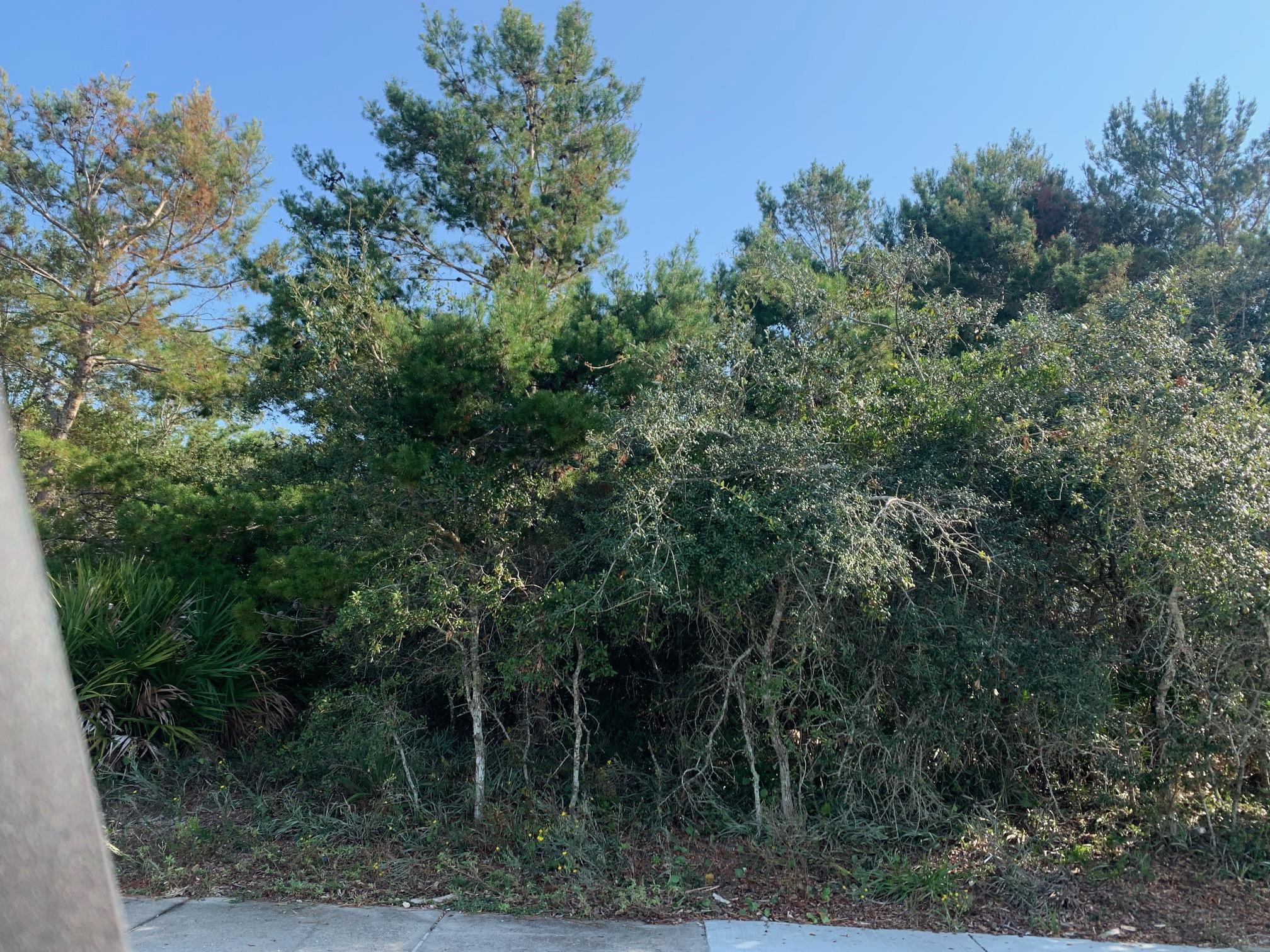 This lot offers exceptional opportunities. Because of its size, location and elevation, it is one of the largest lots in Carillon Beach and will have great views of Lake Carillon across the street, and possibly the Gulf of Mexico from the towers – the main house can have two levels and a 400 square foot tower on the third floor.  The peak of the roof on the tower can go to 50 feet.  The guest house can have a footprint of 600 square feet and a total of three stories plus a tower. You can create your own little paradise with main house, guest house, and pool compound.  Convenient to downtown Carillon Beach shops and a short walk to the beach, this lot has it all.  Don't miss out on one of the last few buildable lots in Carillon Beach!