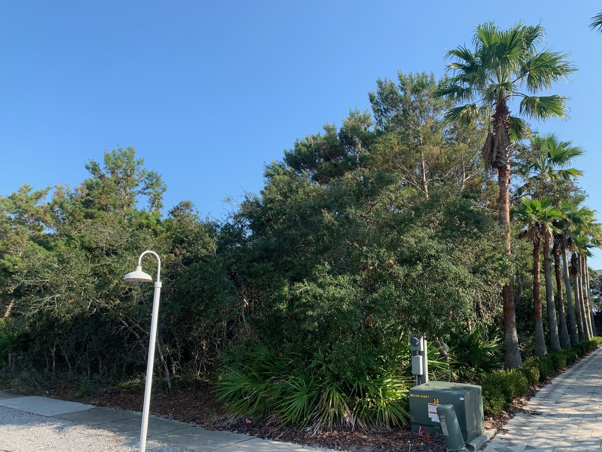 CARILLON BEACH - Land