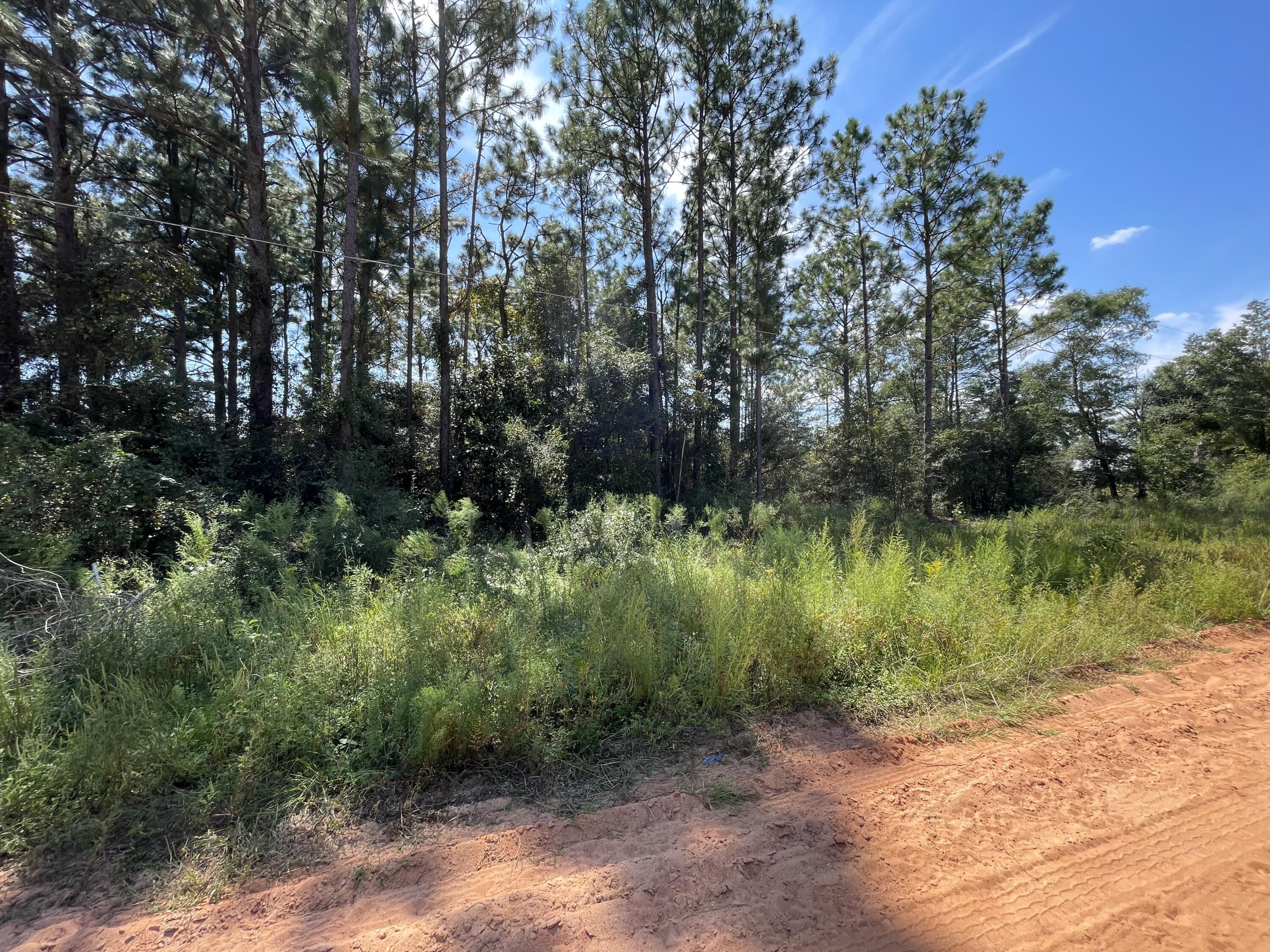 OAKWOOD HILLS UNIT 1 - Land