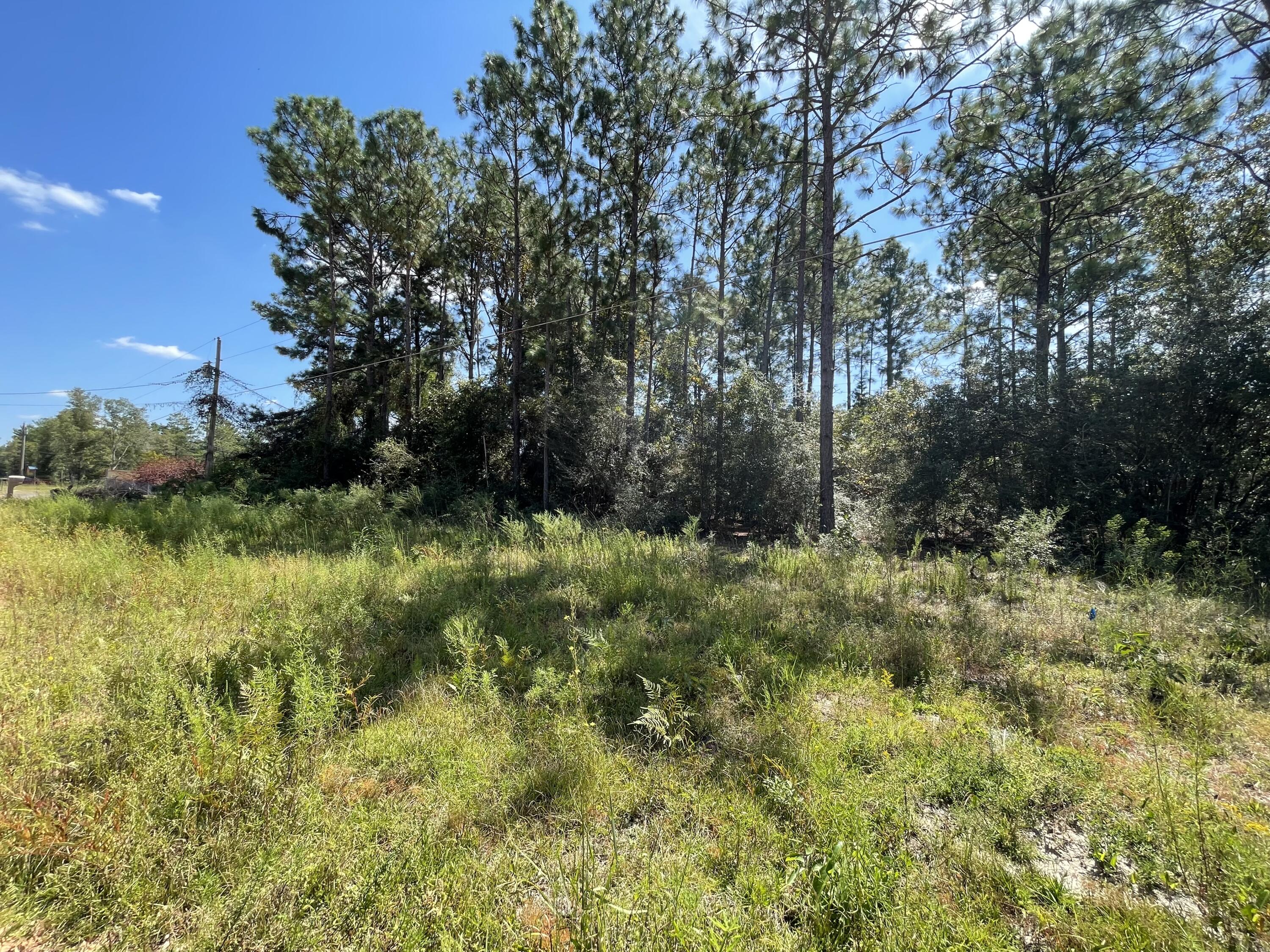 OAKWOOD HILLS UNIT 1 - Land