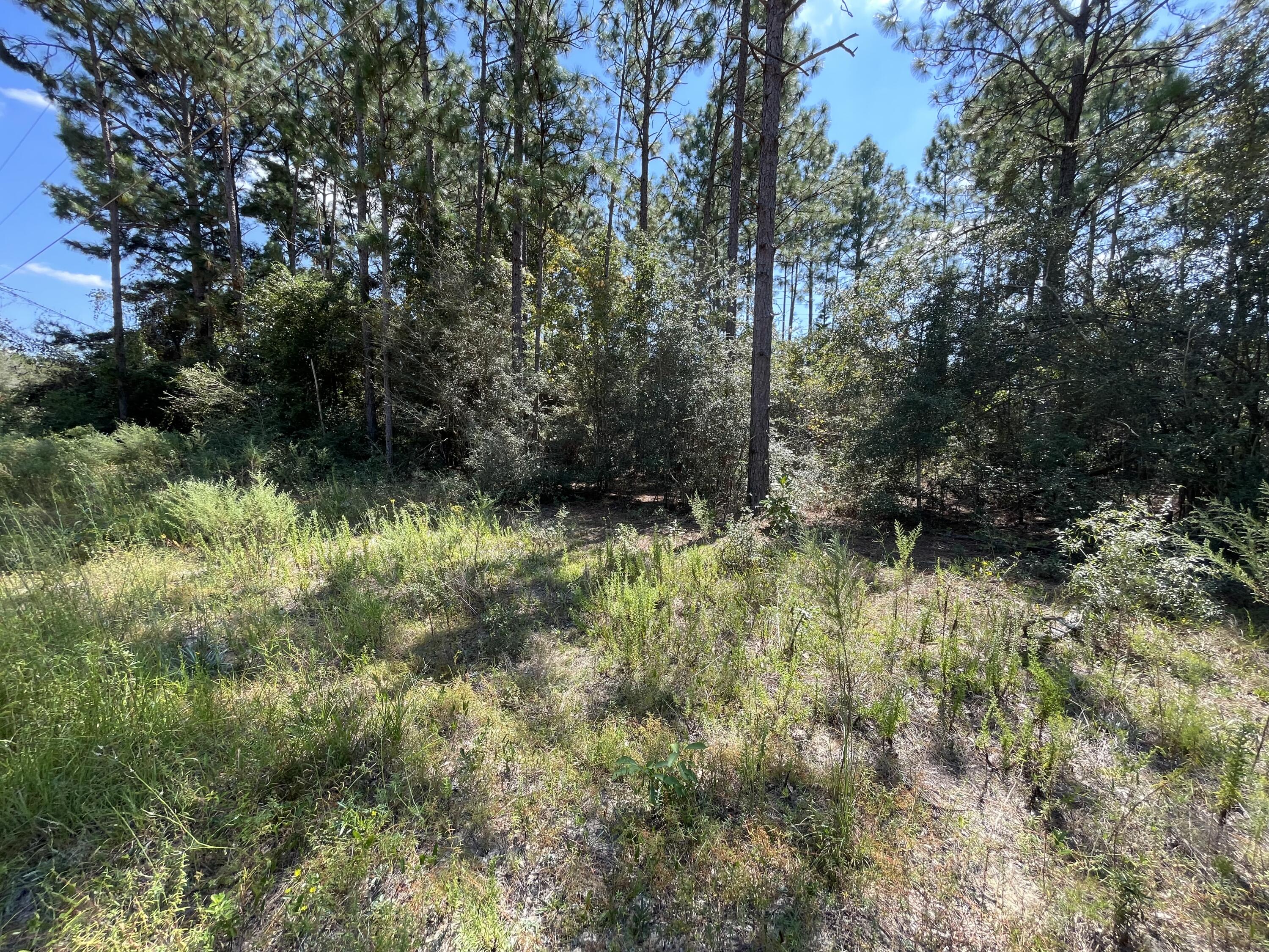 OAKWOOD HILLS UNIT 1 - Land