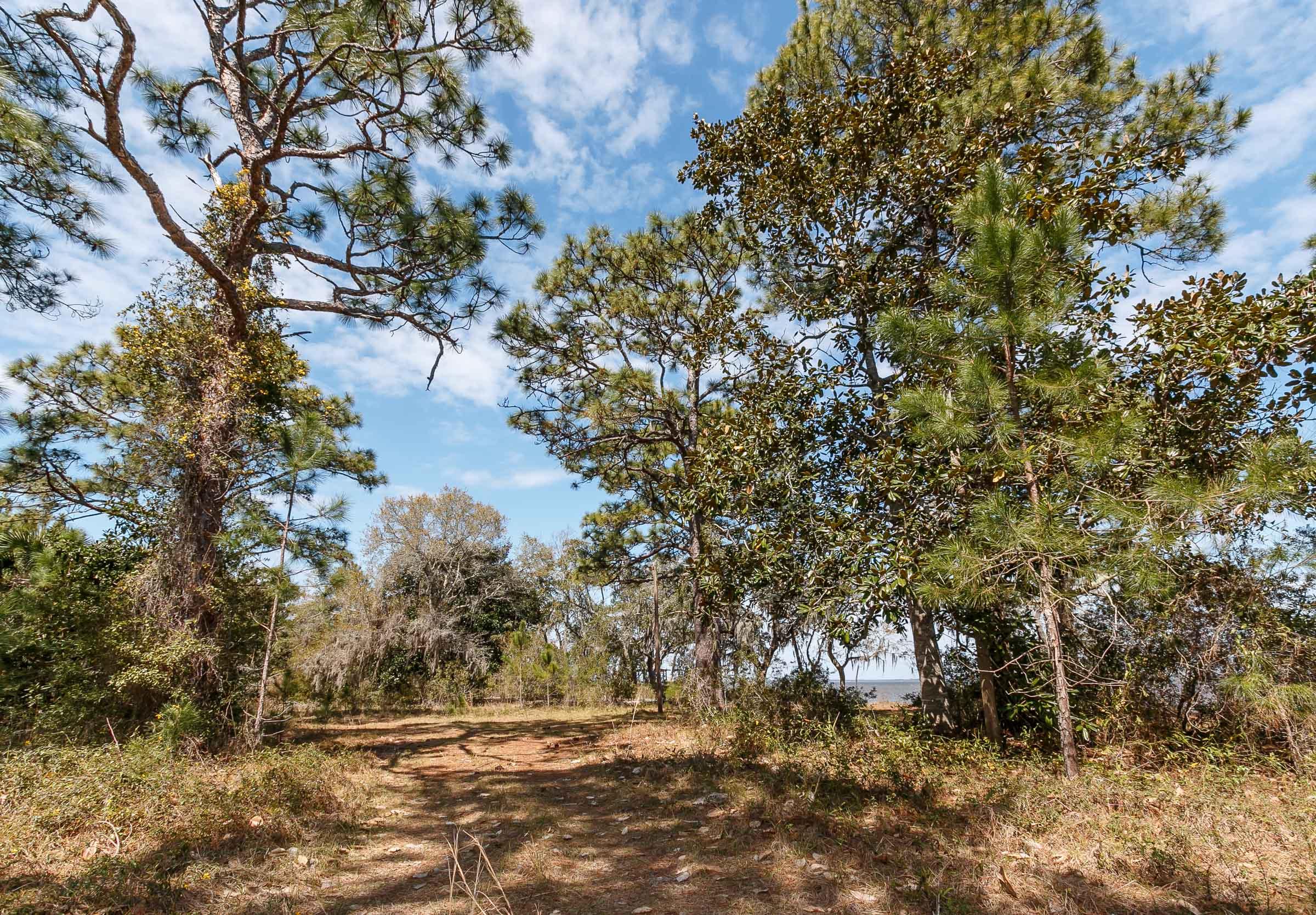 PARADISE POINTE SUBDIVISION - Land
