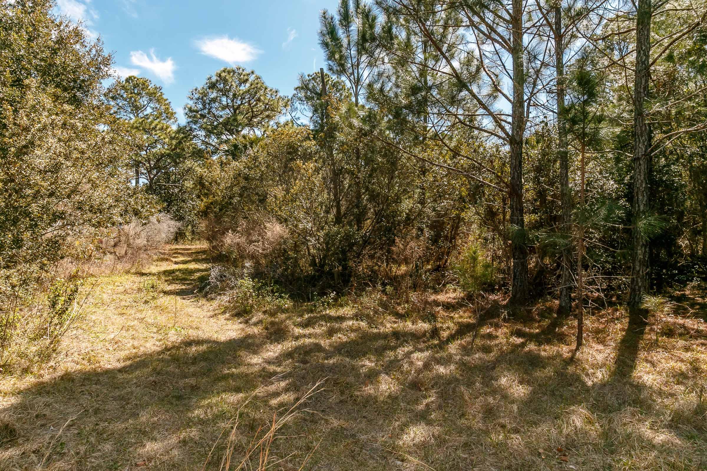 PARADISE POINTE SUBDIVISION - Land