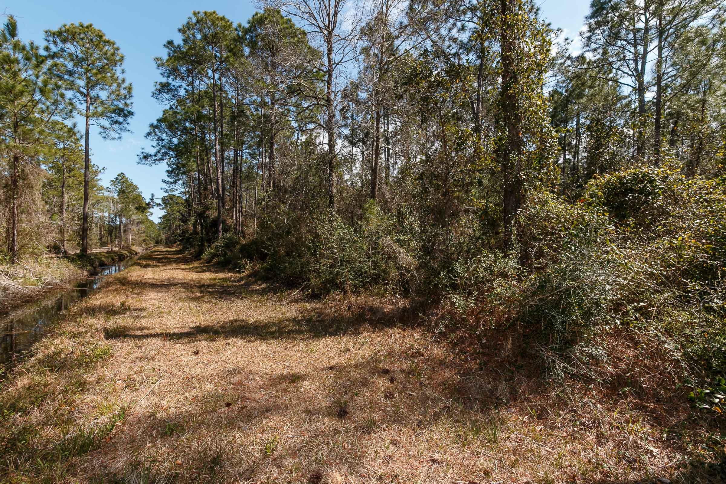 PARADISE POINTE SUBDIVISION - Land